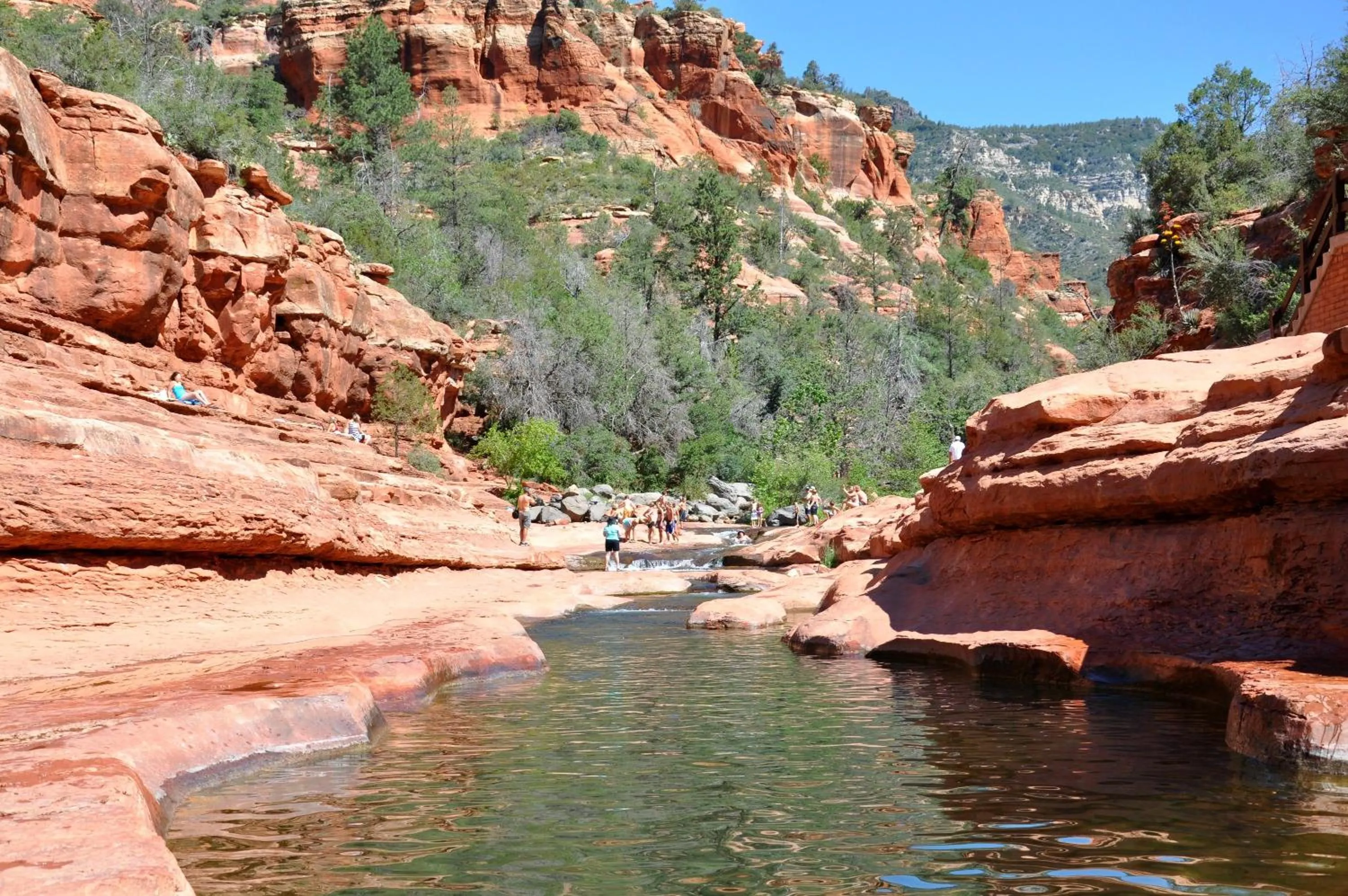 Day in Baby Quail Inn