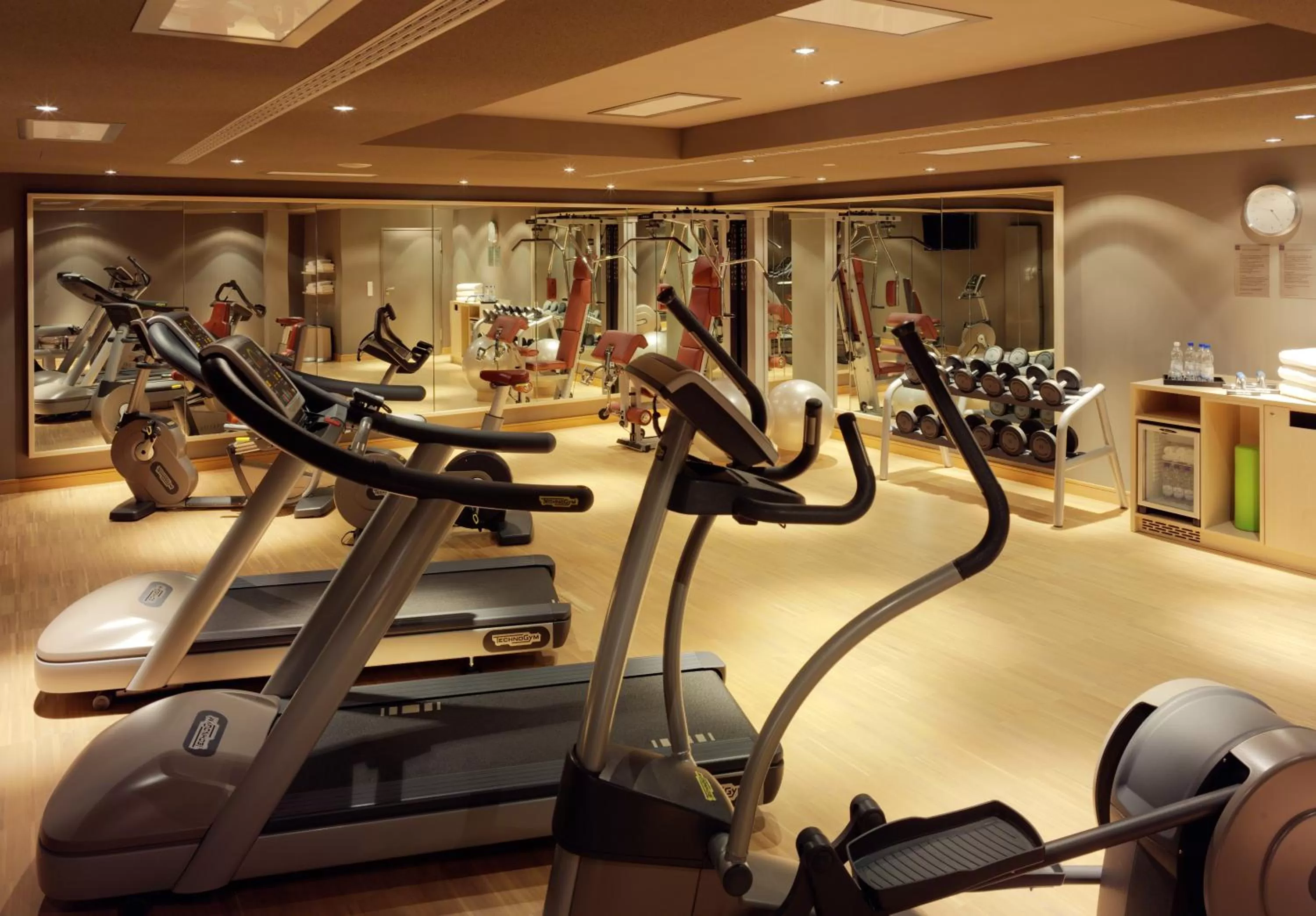 Fitness centre/facilities in HYPERION Hotel Dresden Am Schloss
