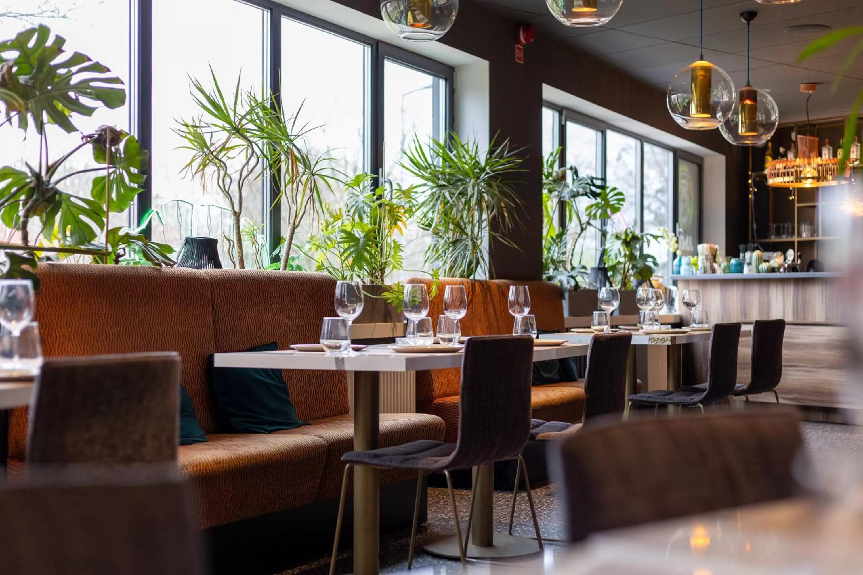 Restaurant/places to eat in Hotel Zoo by Afrykarium Wroclaw