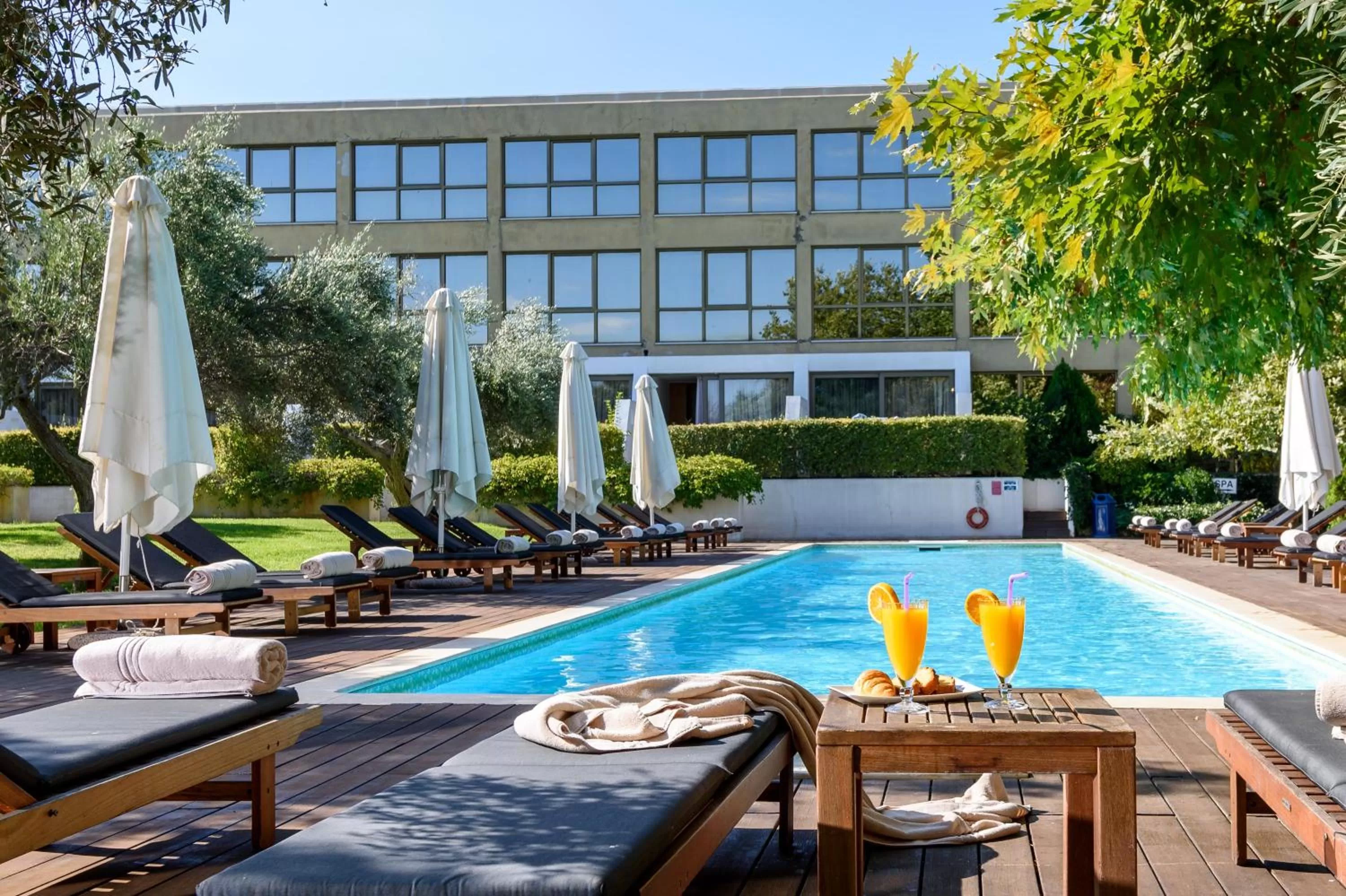 Garden in Alexander Beach Hotel & Spa