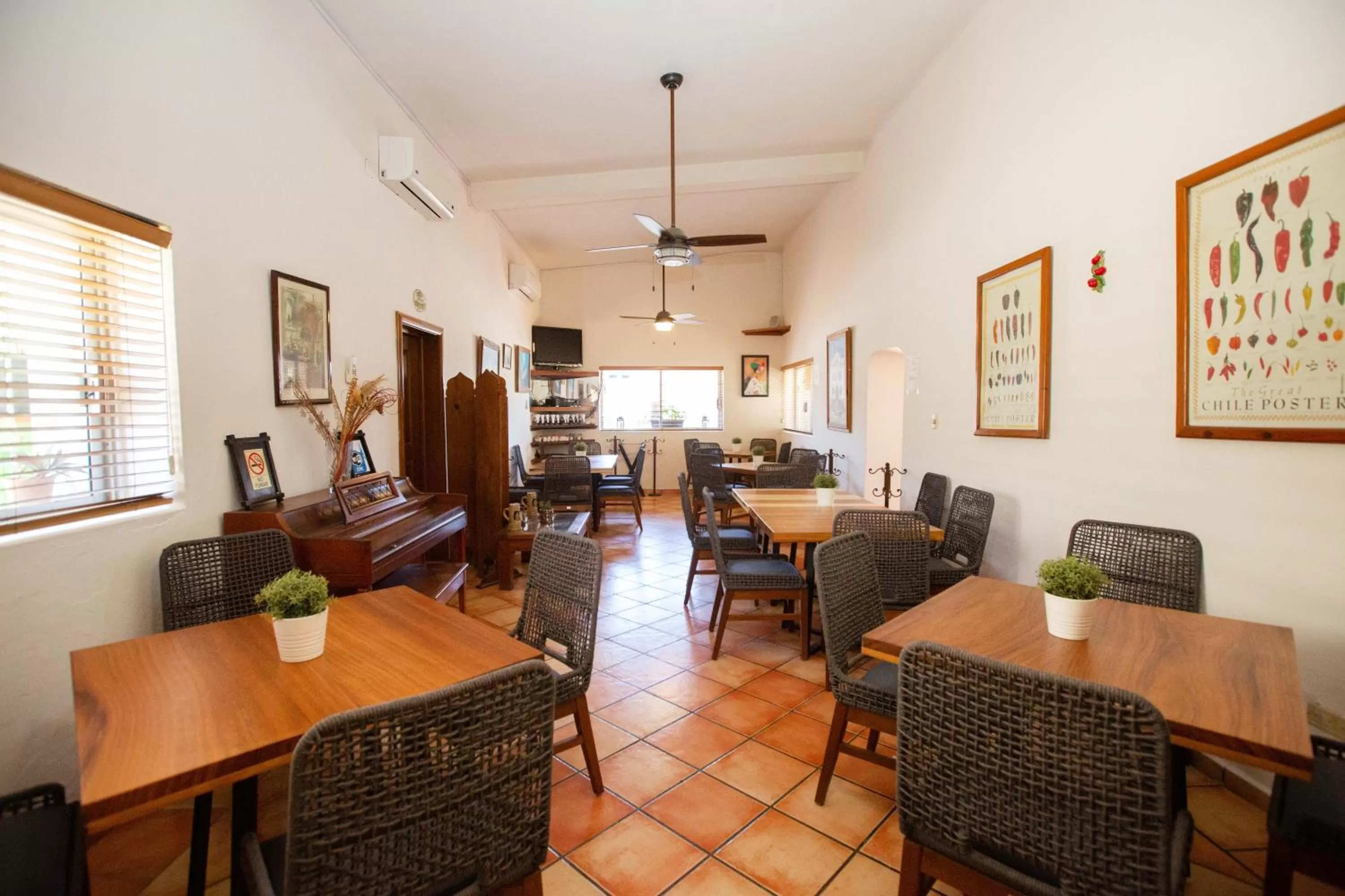 Restaurant/places to eat in Hotel Posada Terranova