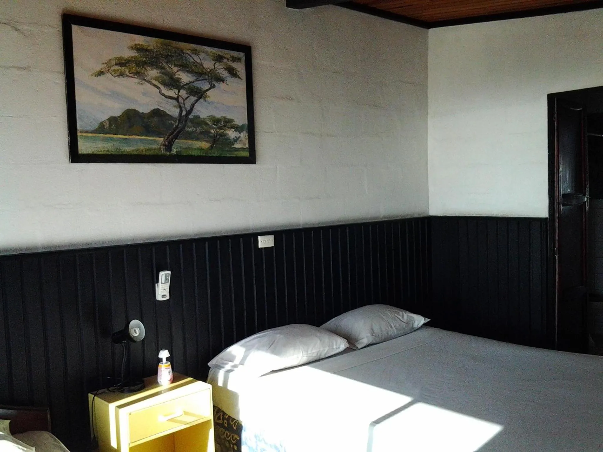 Bed in Bamboo Backpackers