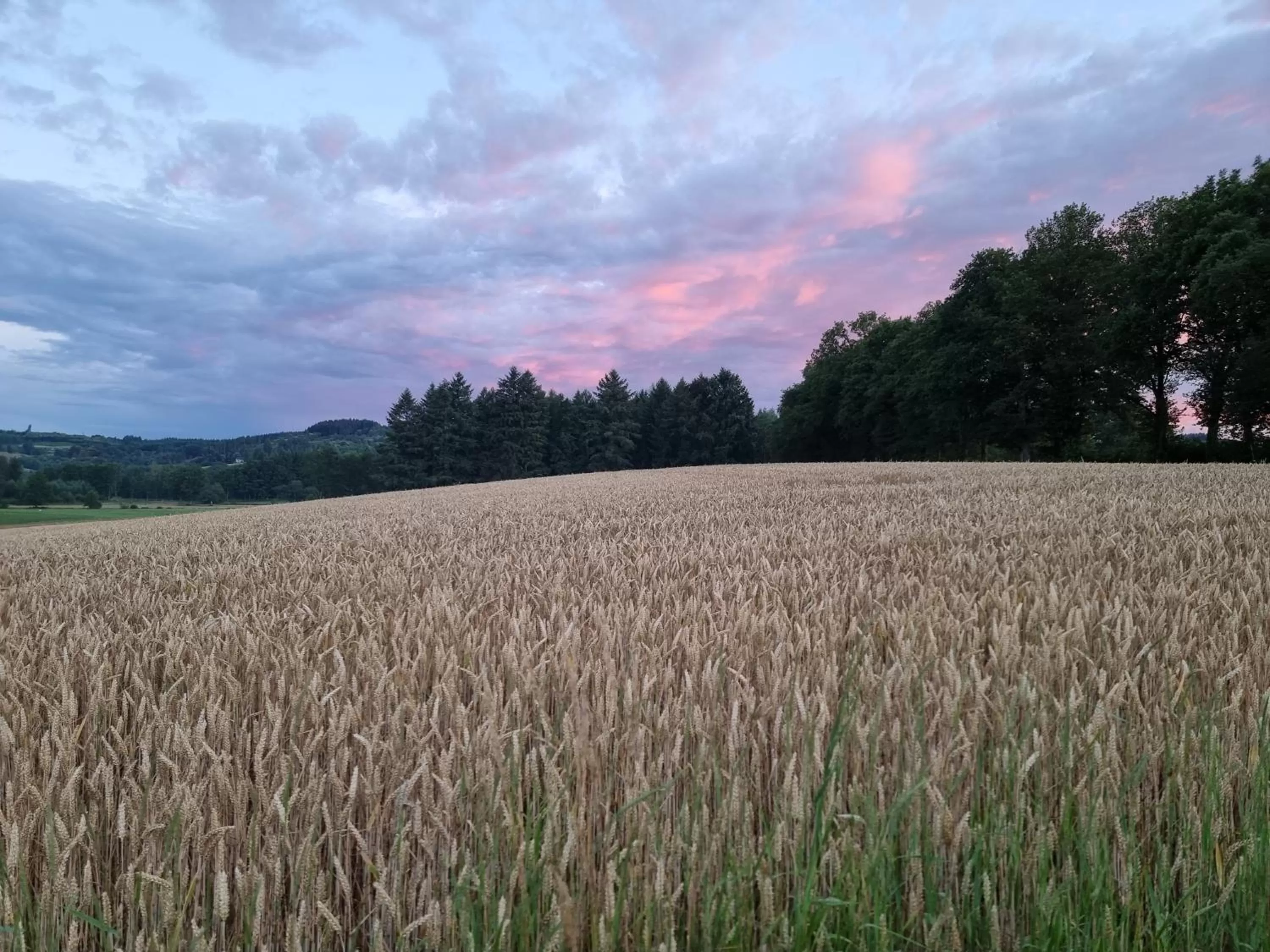 Natural landscape in Bon Chez Nous