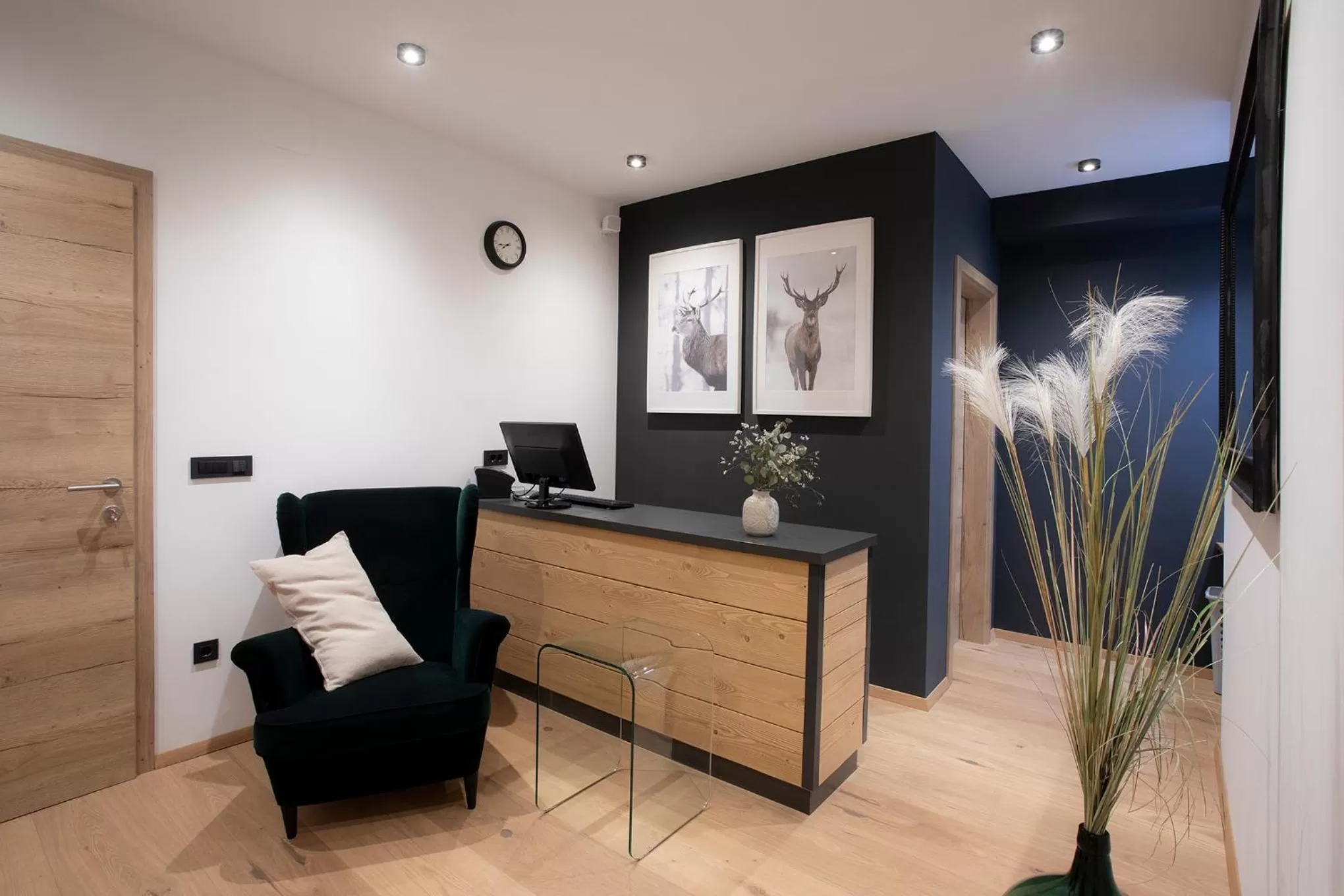 Lobby or reception in House Troha - Rooms & Apartments