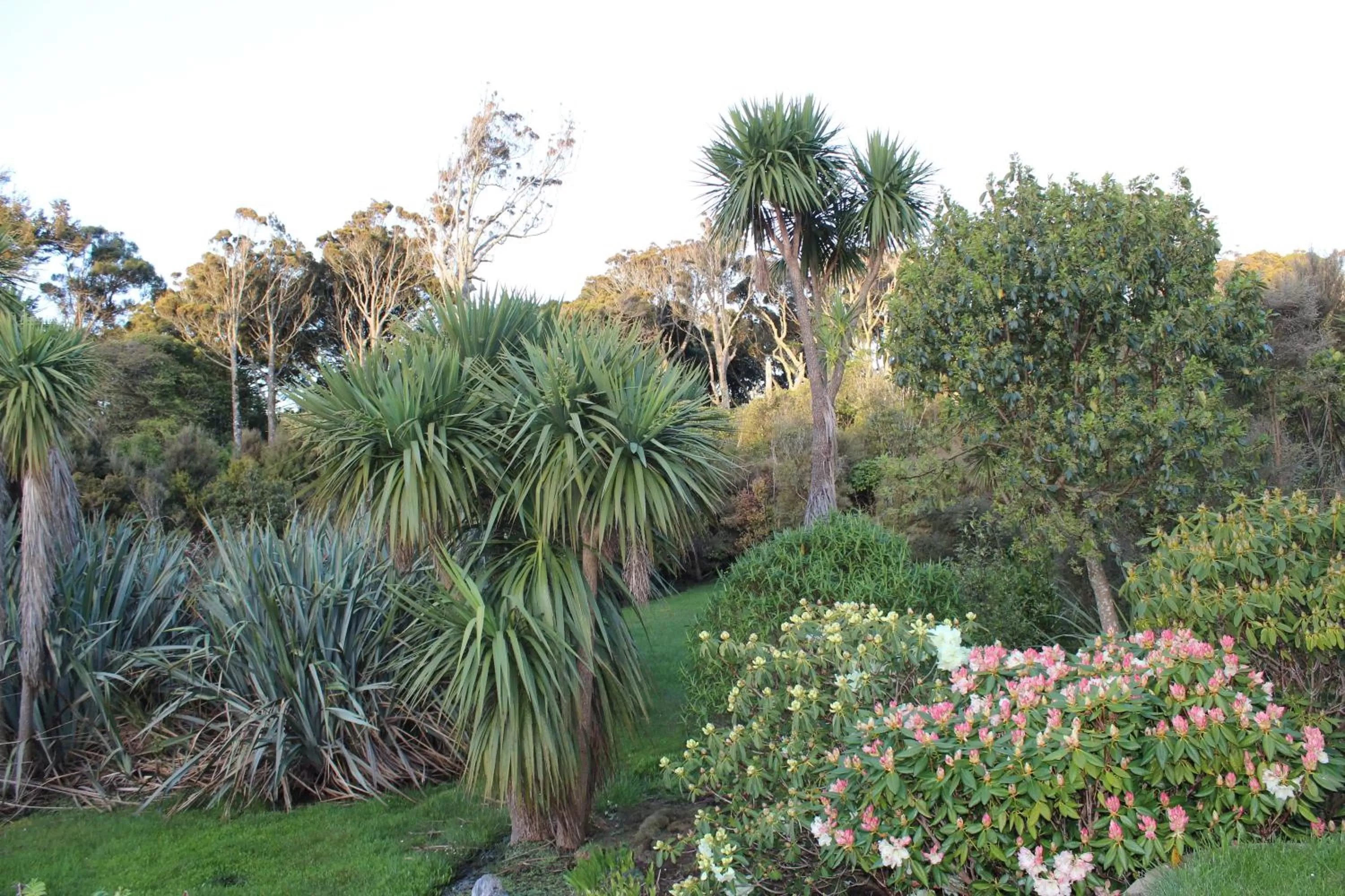 Garden view in Tui Hideaway