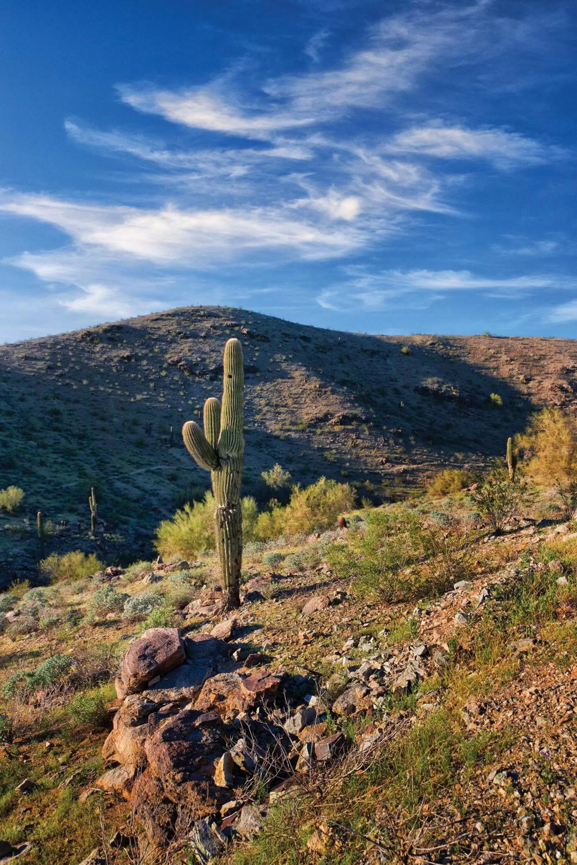 View (from property/room) in Raintree at Phoenix South Mountain Preserve