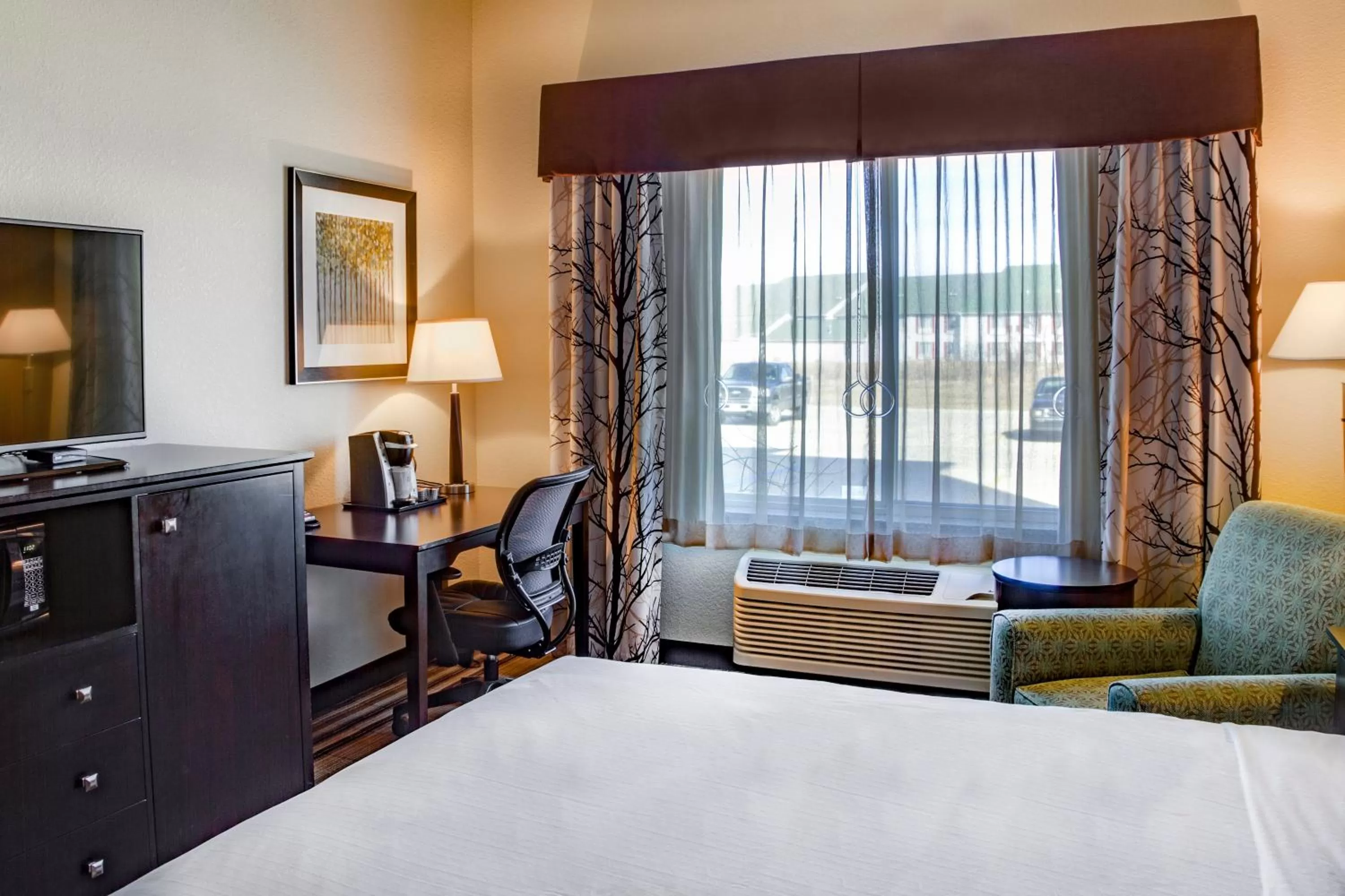TV and multimedia, Bed in Holiday Inn Express & Suites Nevada by IHG