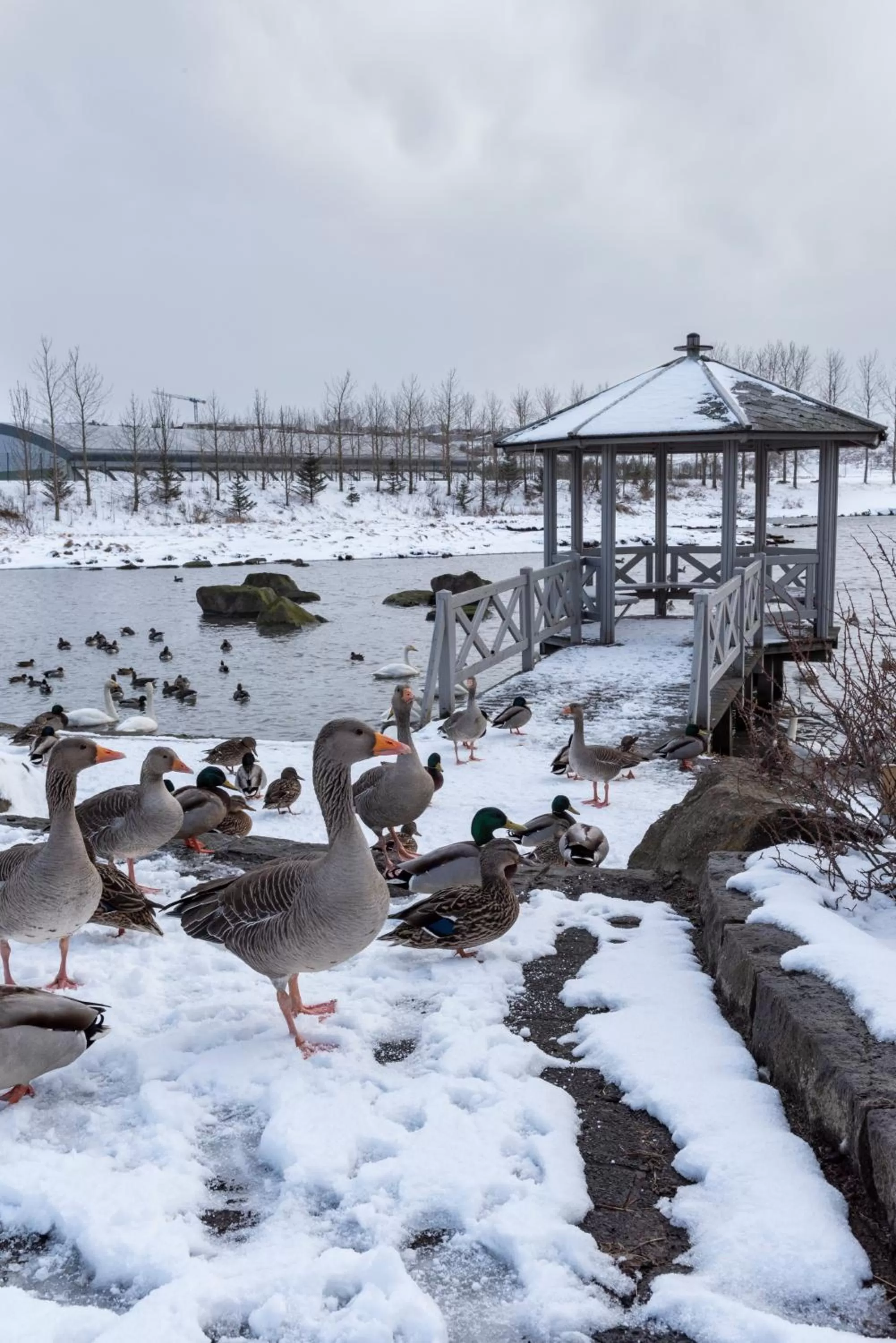 Nearby landmark in 201 Hotel