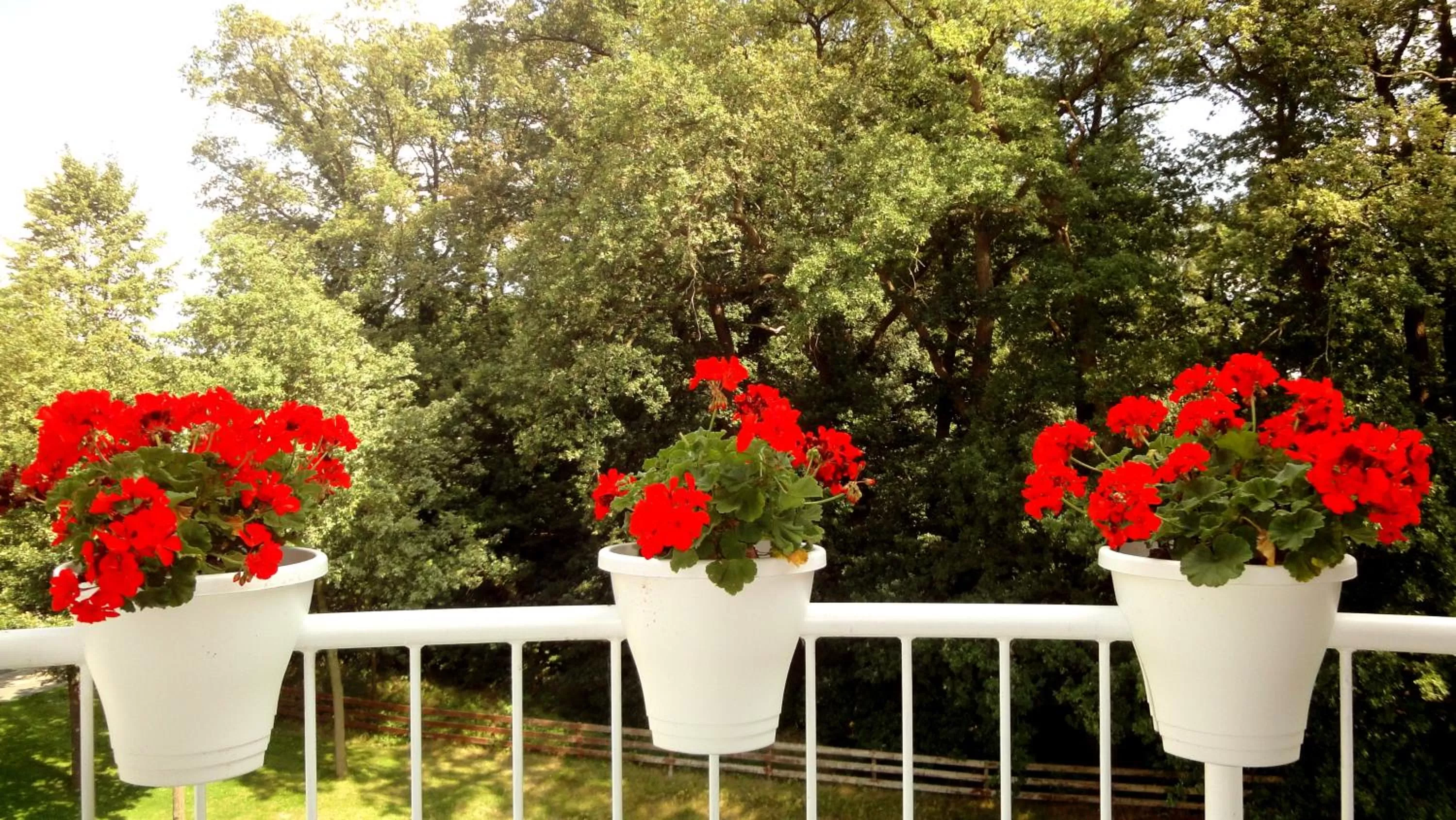 Other in Wildeshauser Hof