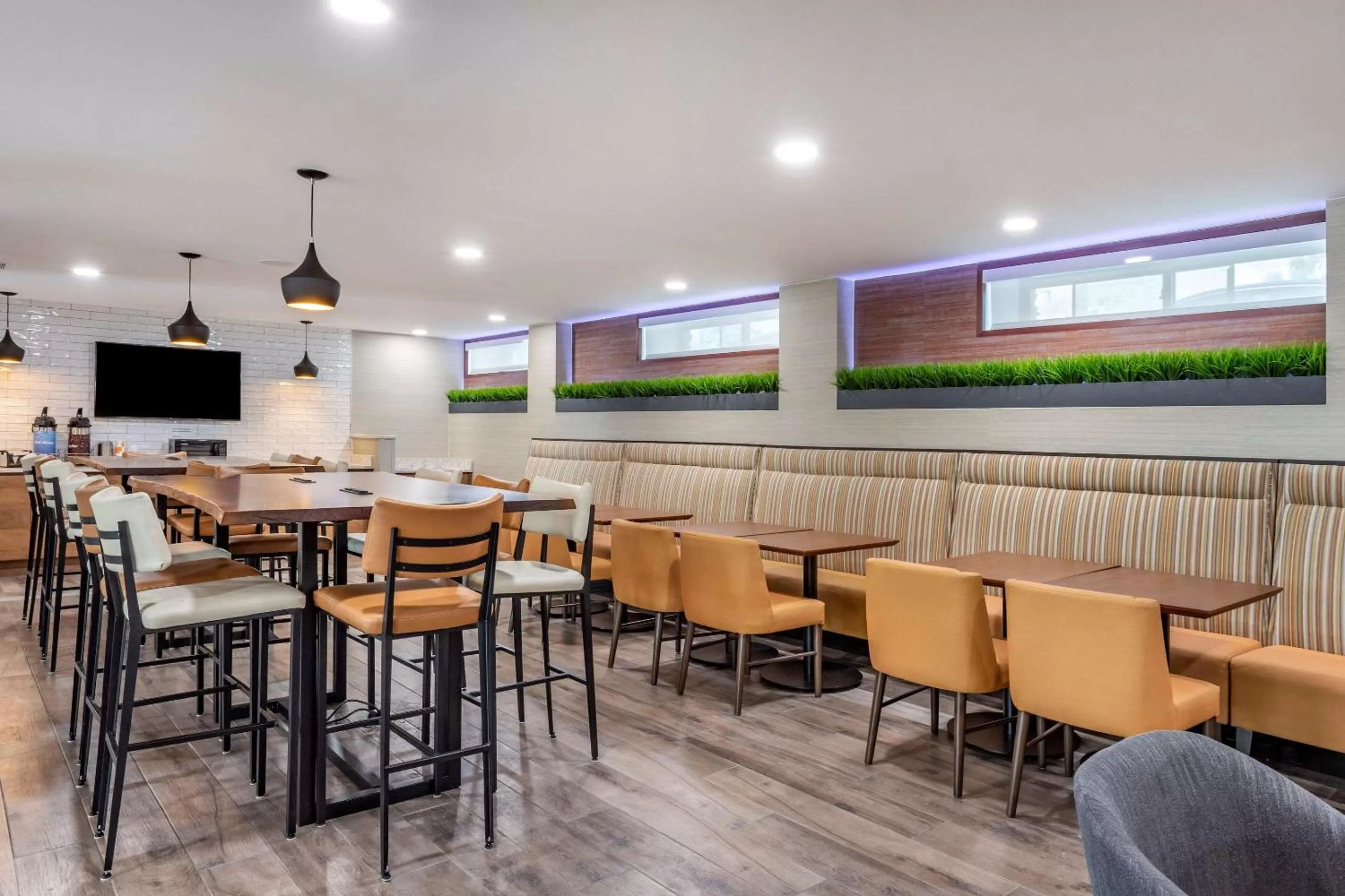 Restaurant/places to eat in Comfort Inn JFK Airport