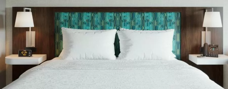 King Room with Roll-In Shower - Hearing Accessible in Hampton Inn Cleveland-Airport/Tiedeman Road