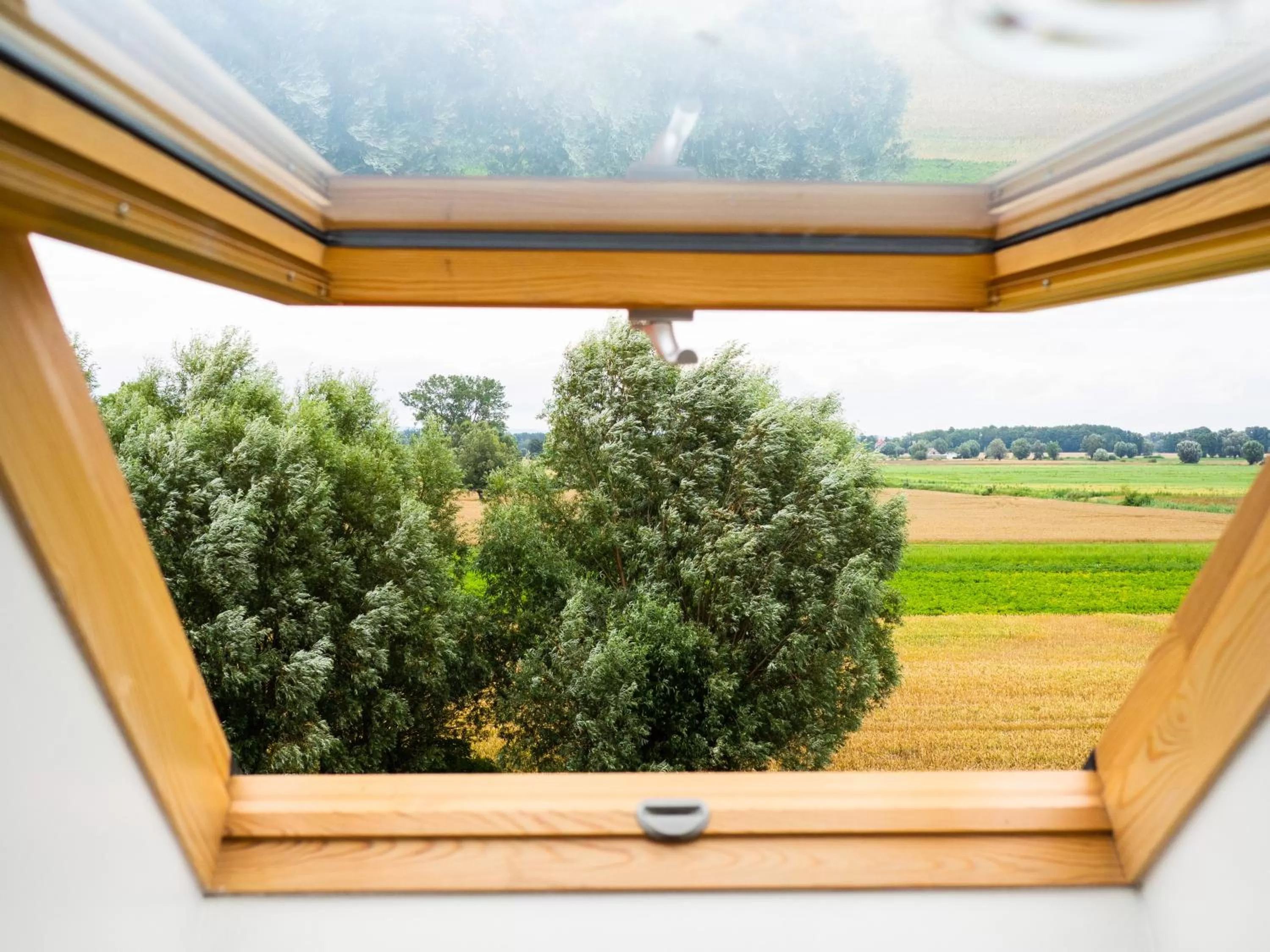 View (from property/room) in Folwark Żuławski