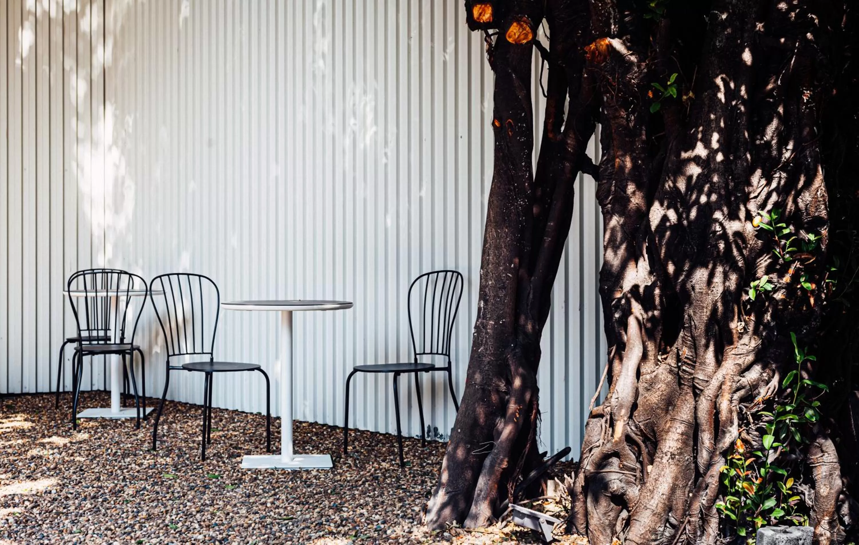 Garden in Bonsai Hotel Bangkok