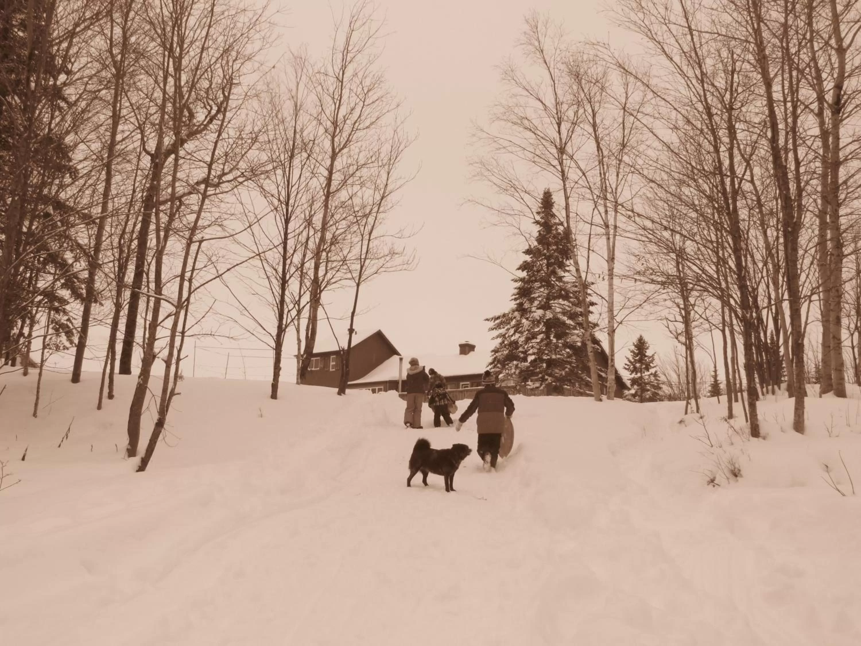 Winter in Le Gîte Ambrelane