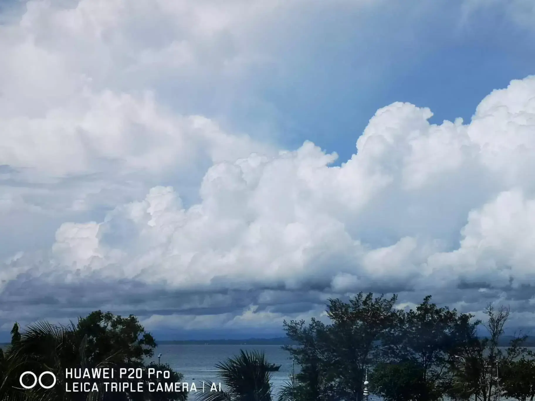 Deluxe Twin Room with Sea View in City Garden Hotel Deluxe Twin Room with Sea View in City Garden Hotel