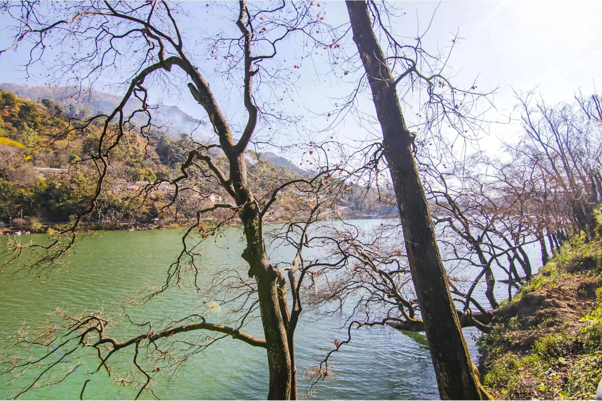 Lake view in FabHotel Prime Olive Lake View