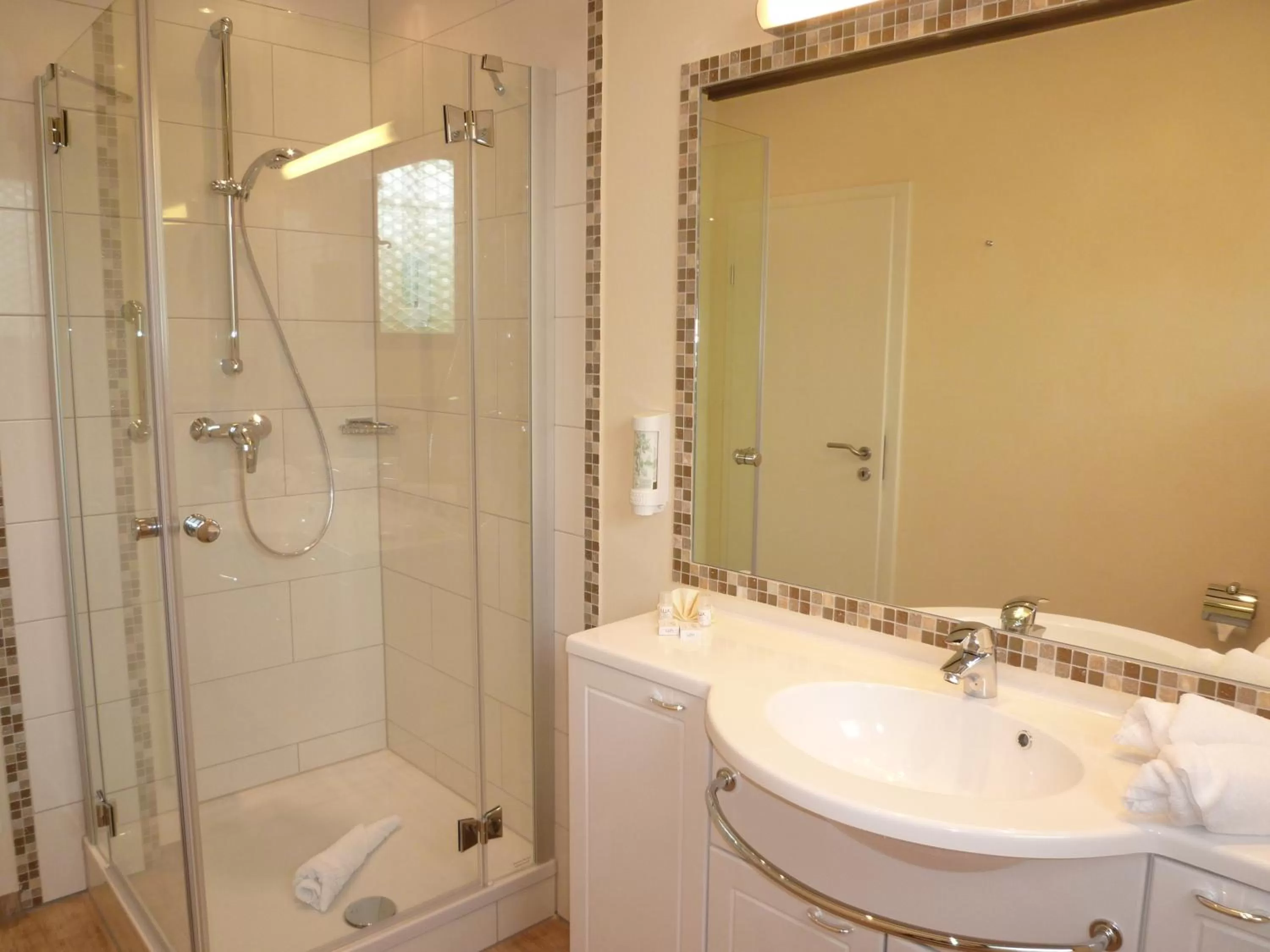 Shower in Hotel Altes Weinhaus