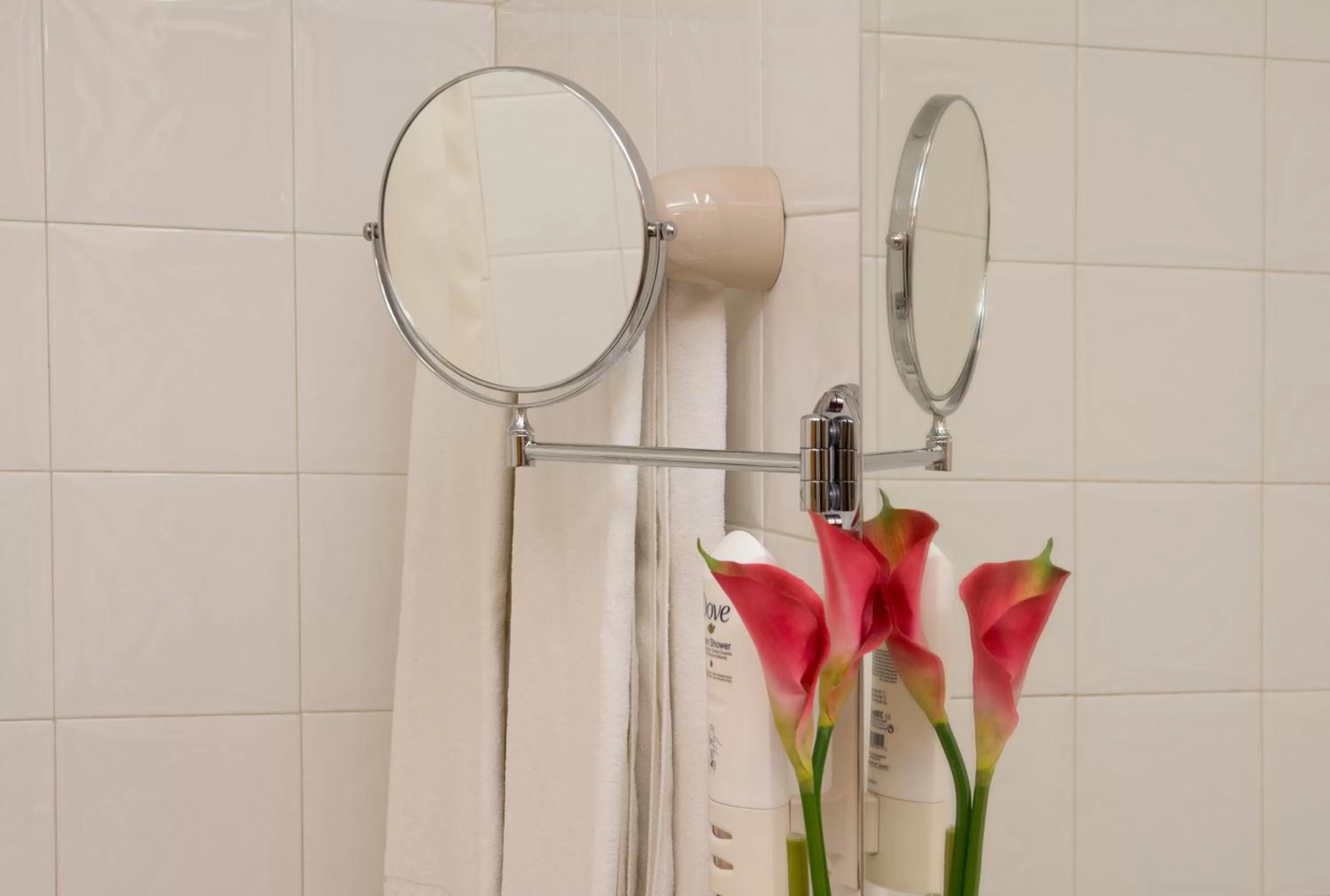 Toilet in Hotel Rainha D. Amélia, Arts & Leisure