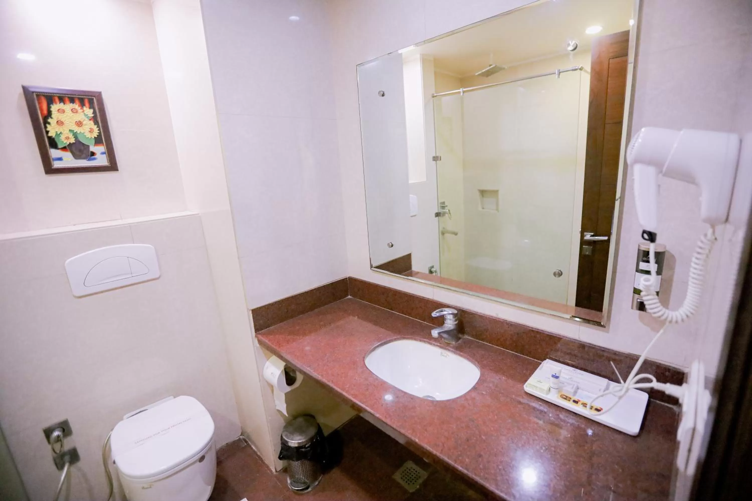 Bathroom in Hotel Leela Grande