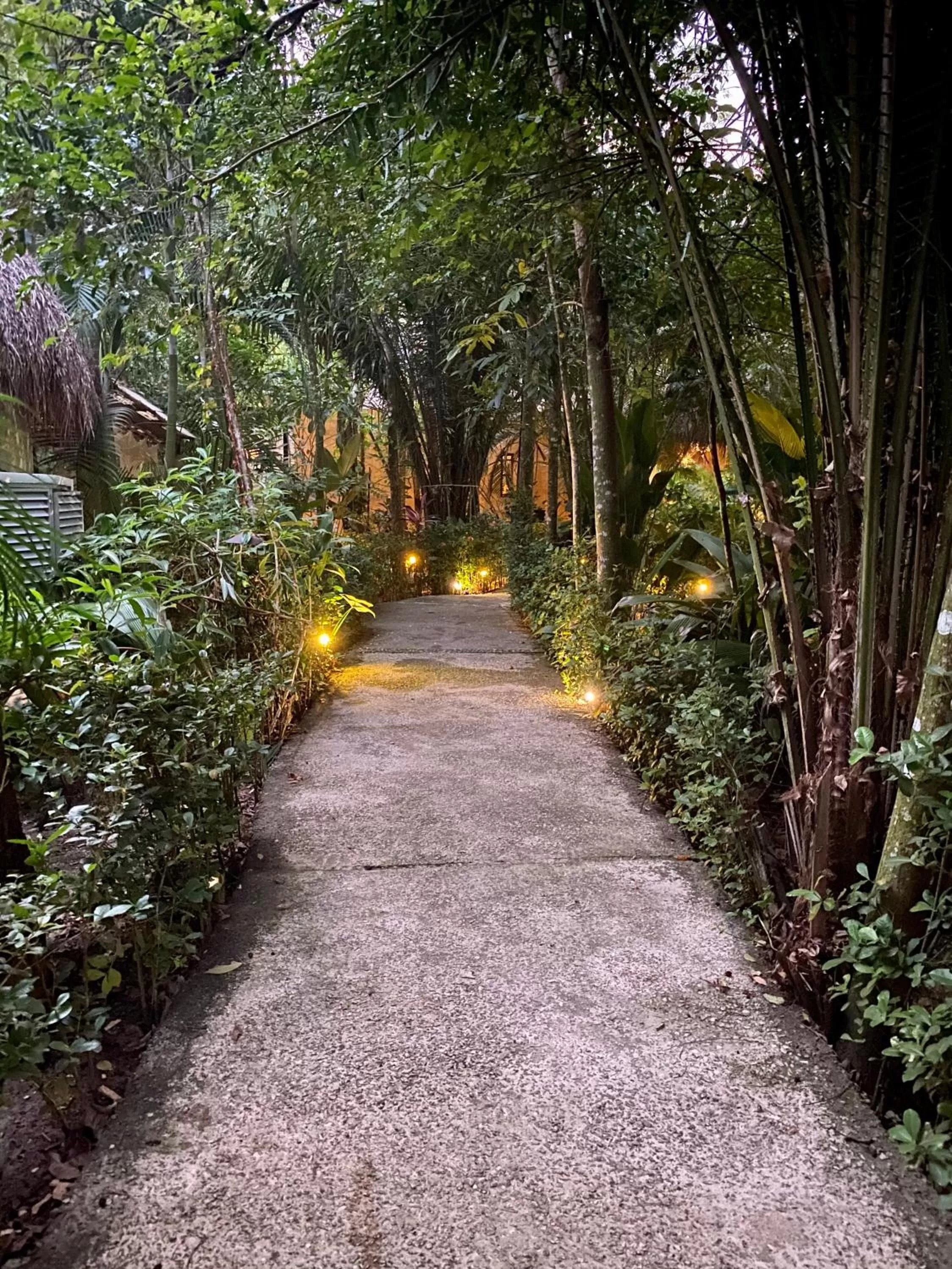 Patio in Piedra de Agua Palenque