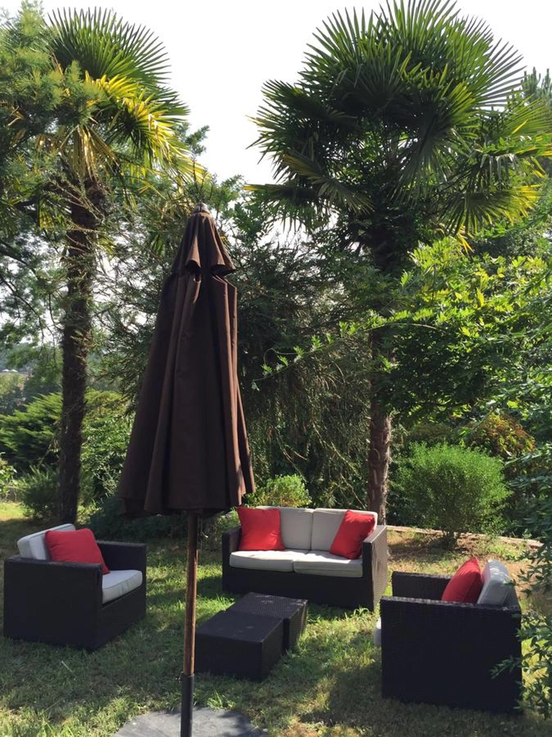 Garden in Agro da Gandarela