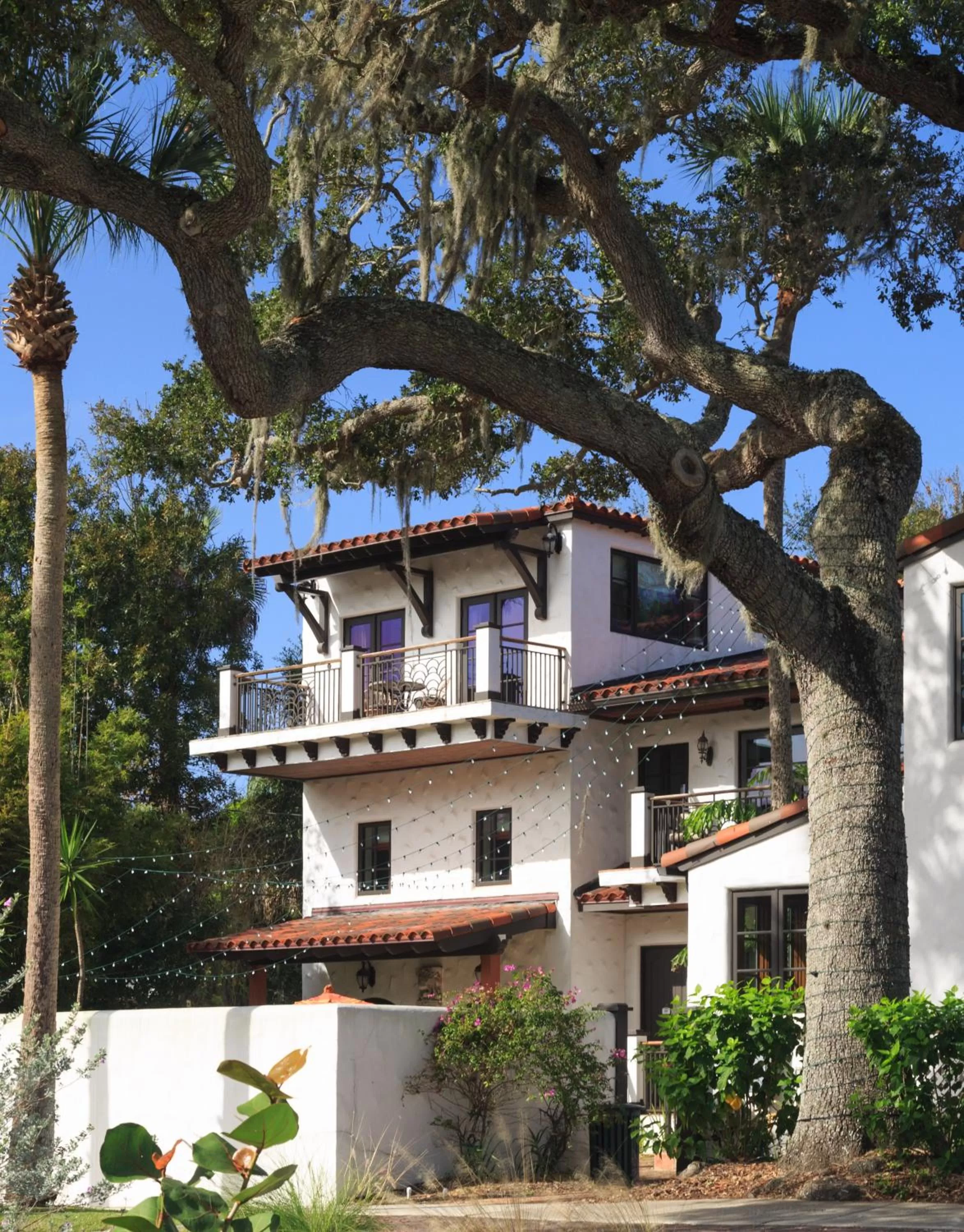 Garden in Black Dolphin Inn