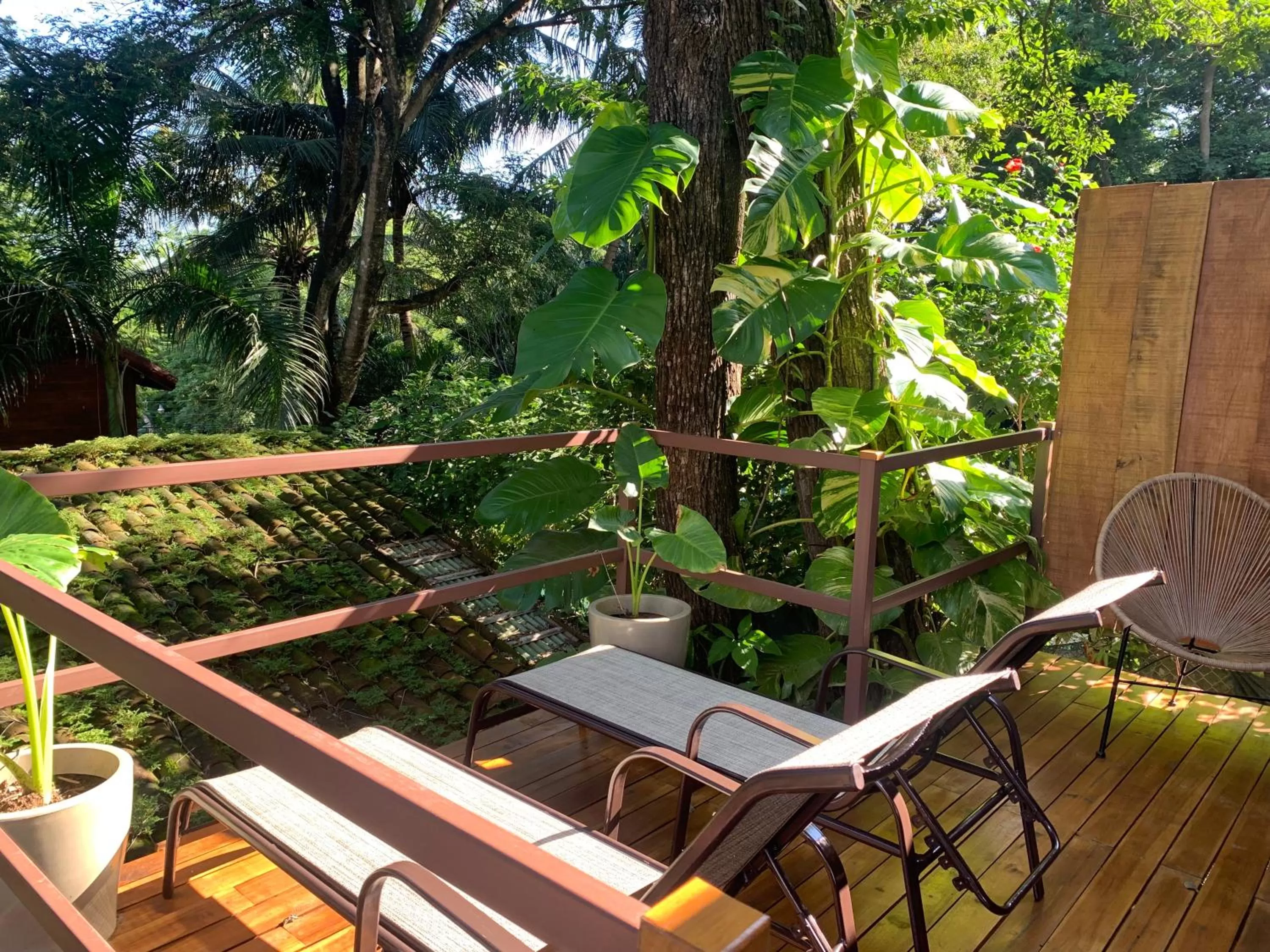 Balcony/Terrace in The Beach Bungalows - Yoga and Surf Hotel - Adults Only