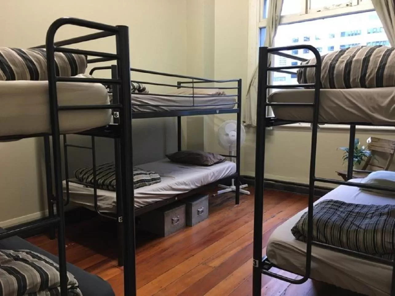 Bed in Surf 'N' Snow Backpackers Across Sky Tower