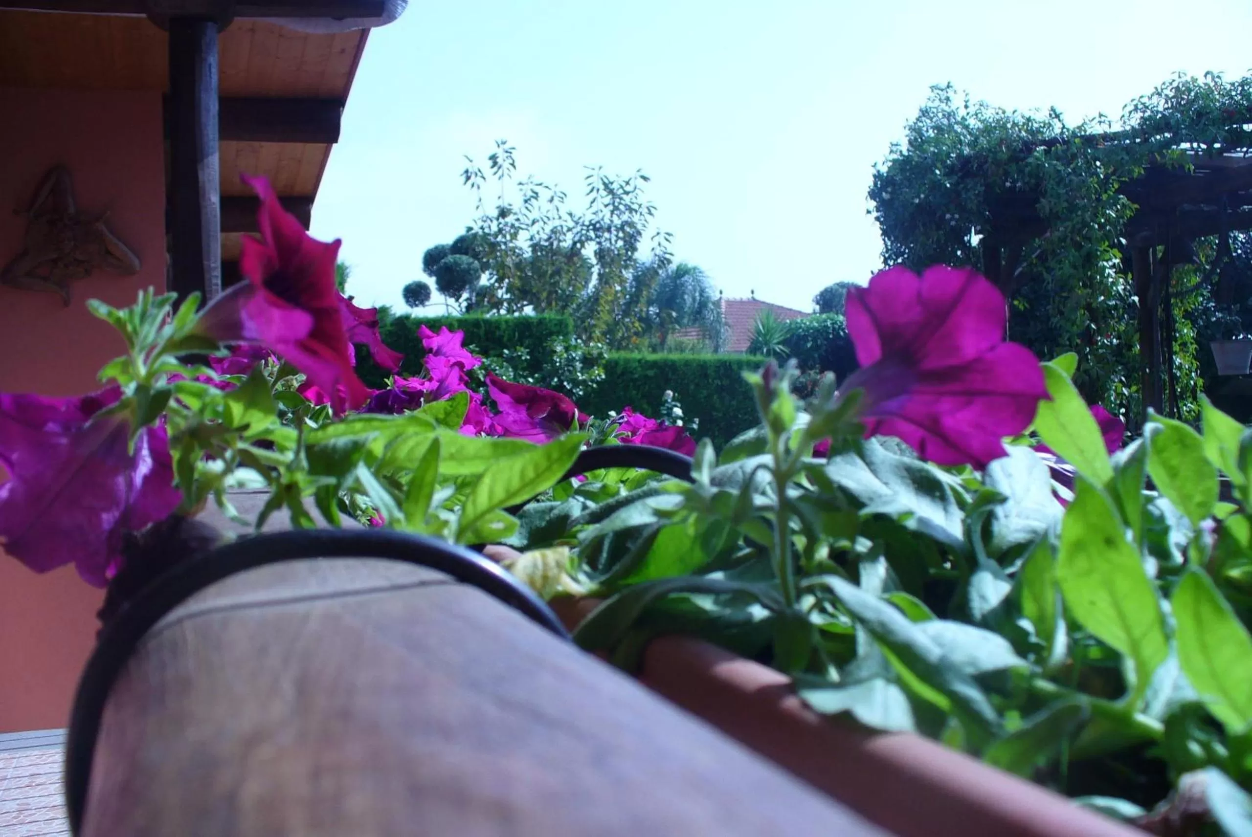 Balcony/Terrace in Etma