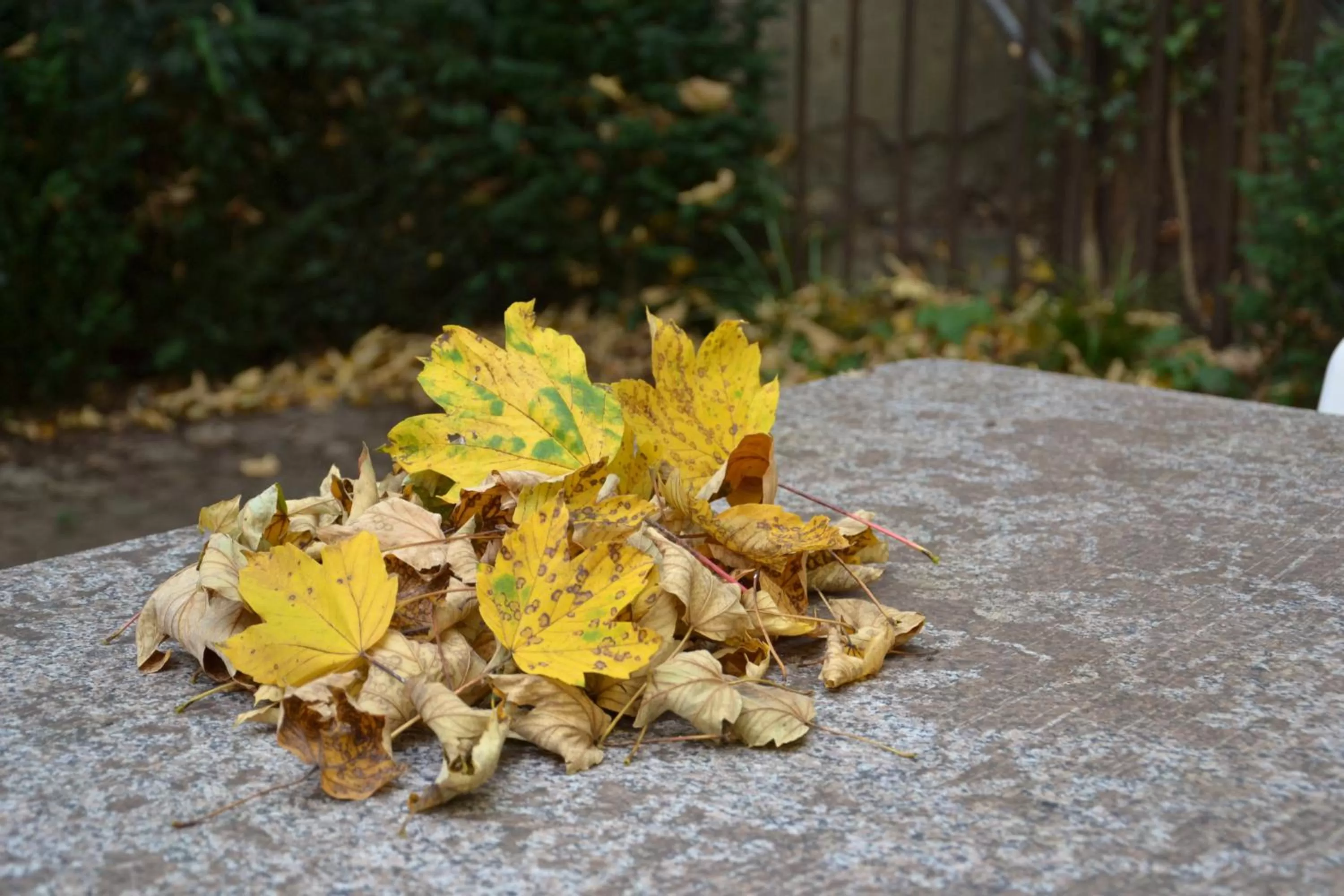 Decorative detail in INSIDE Five