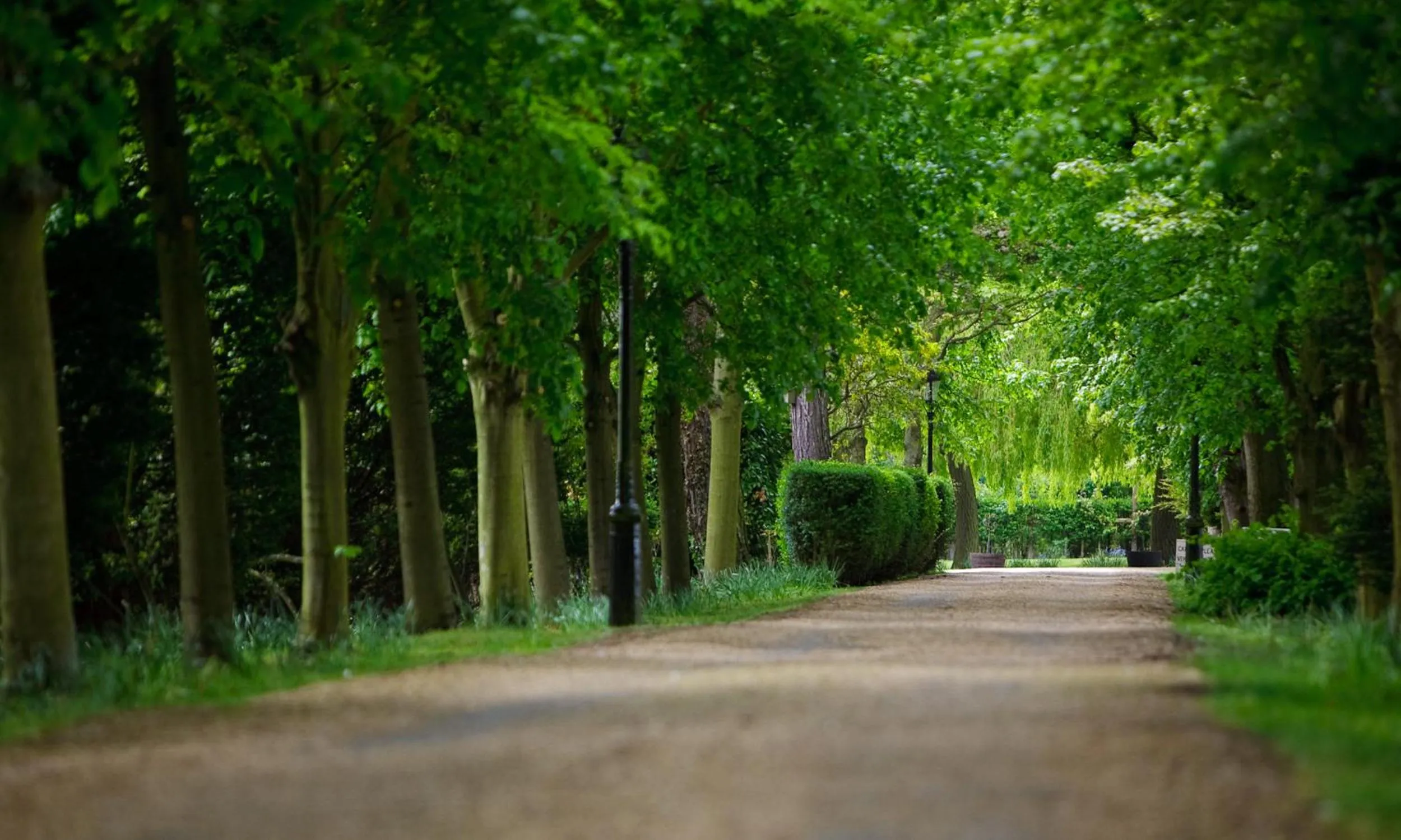 Area and facilities in Rectory Farm