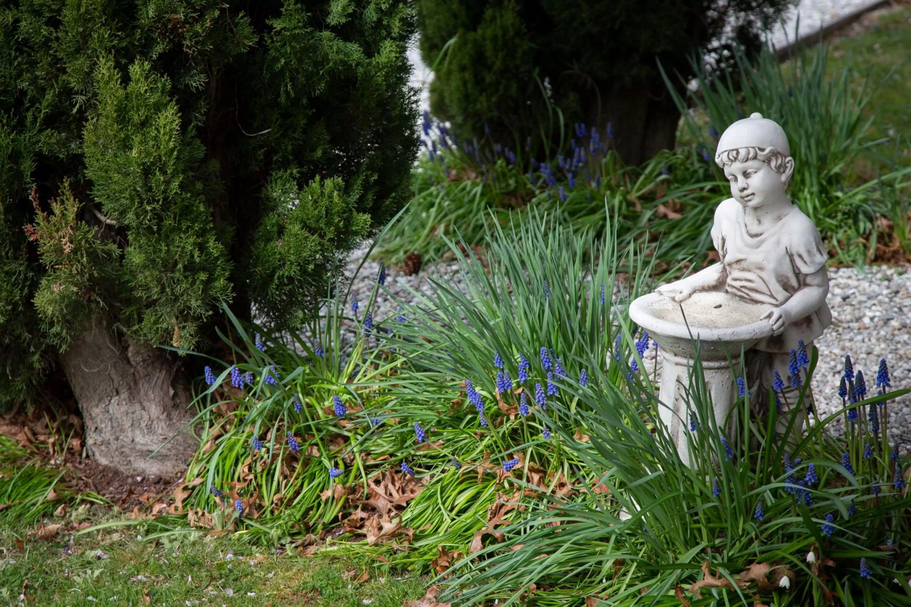 Settlers Cottage Motel