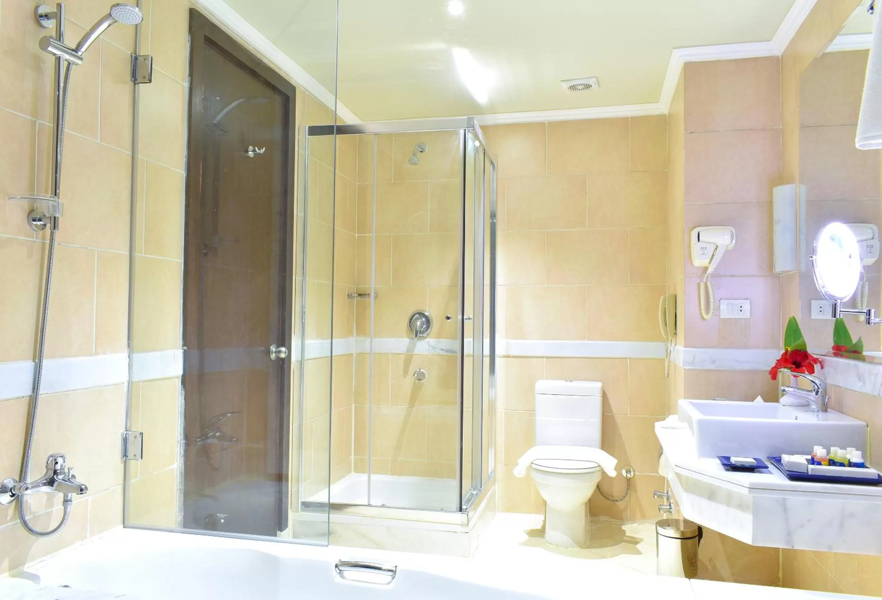 Bathroom in Parrotel Lagoon Waterpark Resort