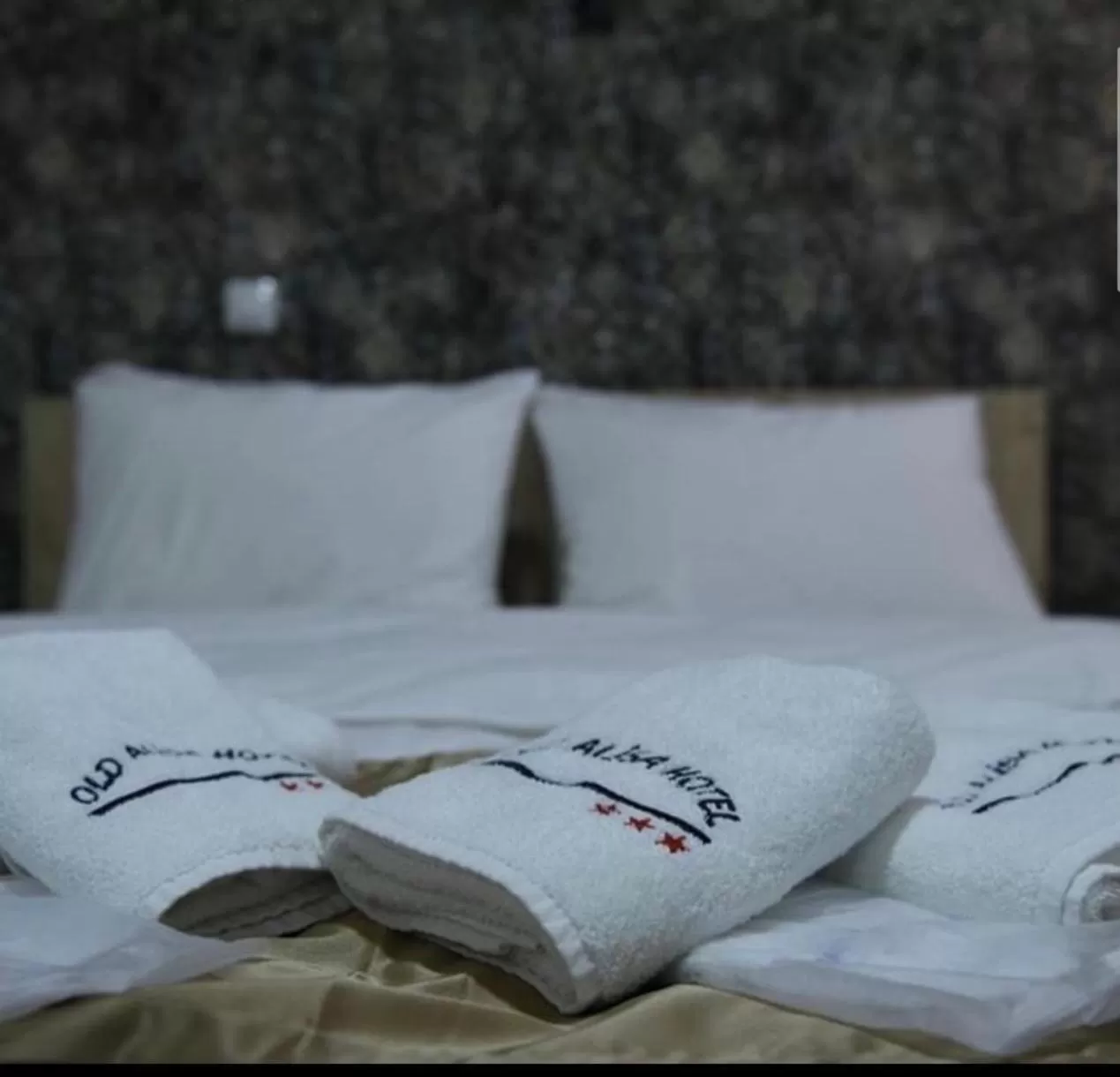 Bed in Hotel Old Alisa