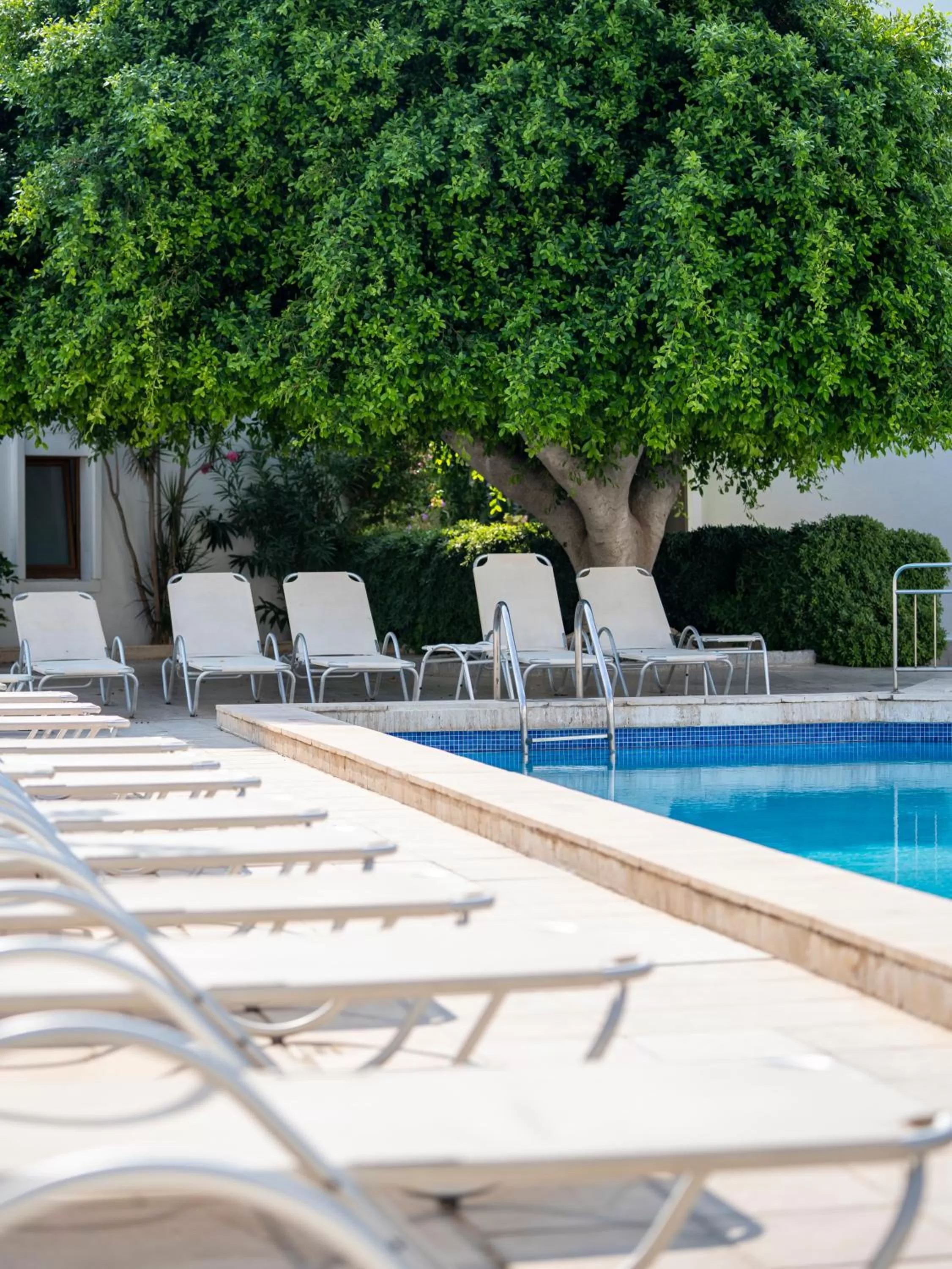 Property building in Seckin Konaklar