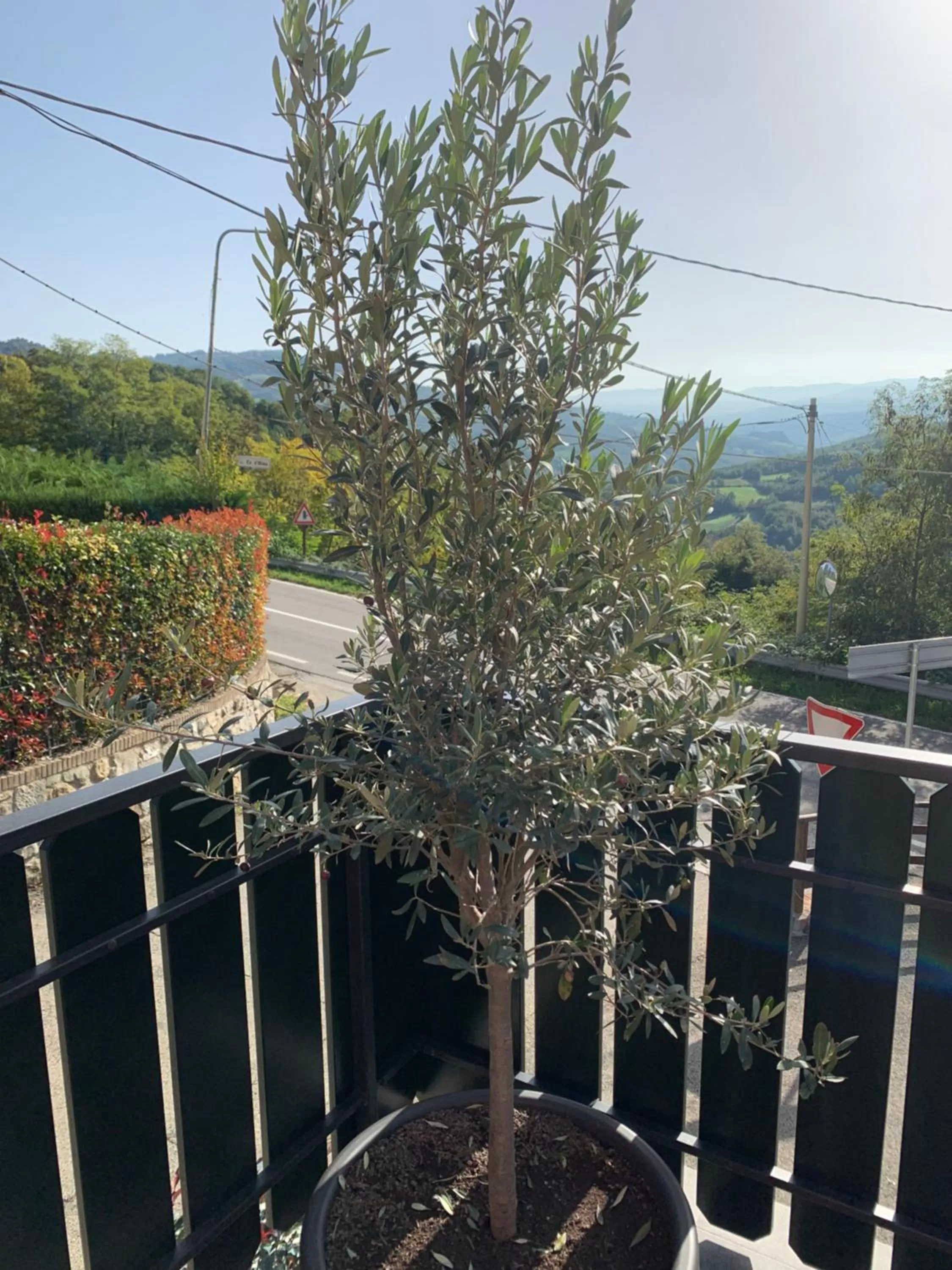 Property building in B & B CA’ D’ OLINA