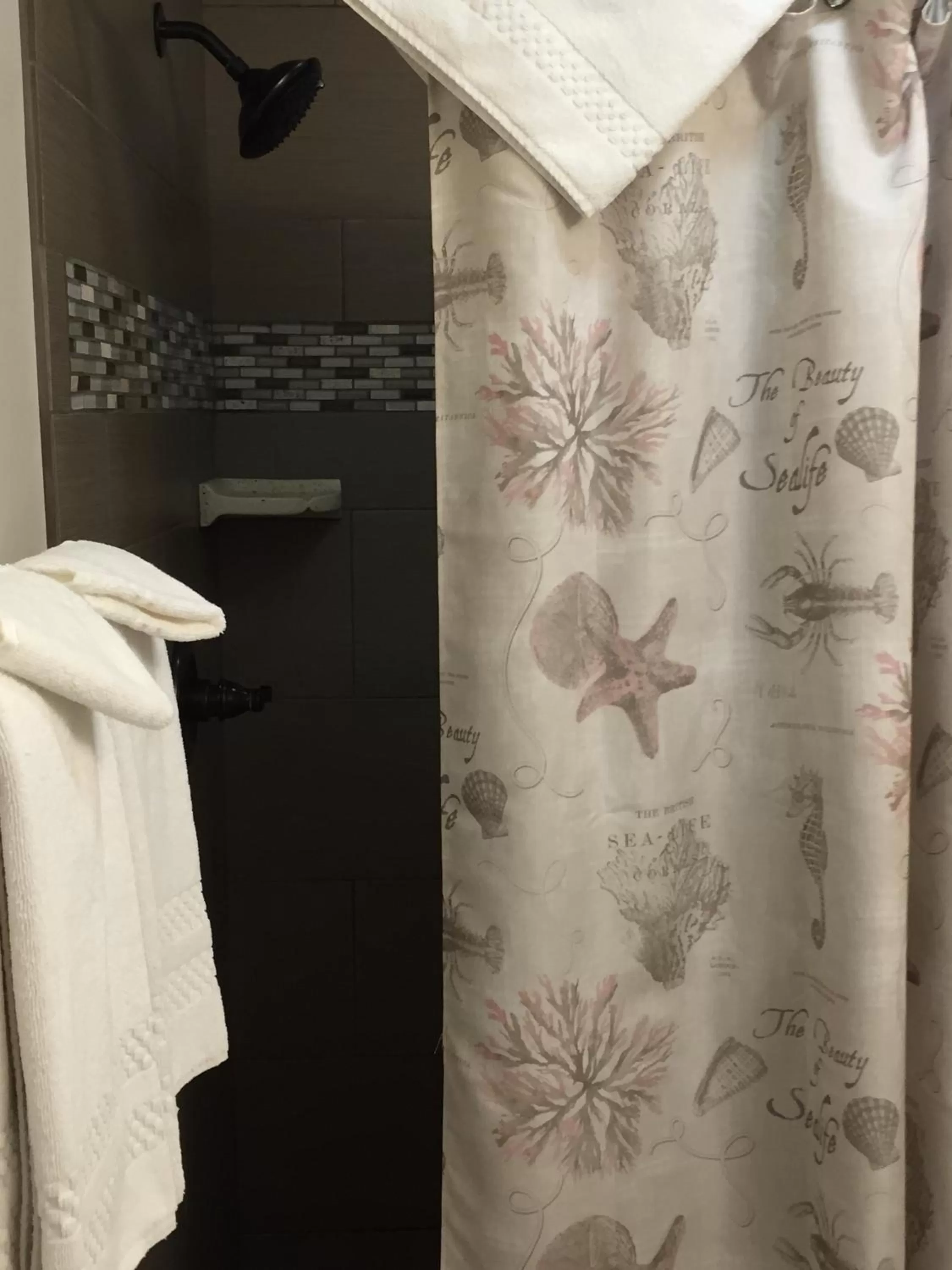 Shower in Beach Bungalow Inn and Suites