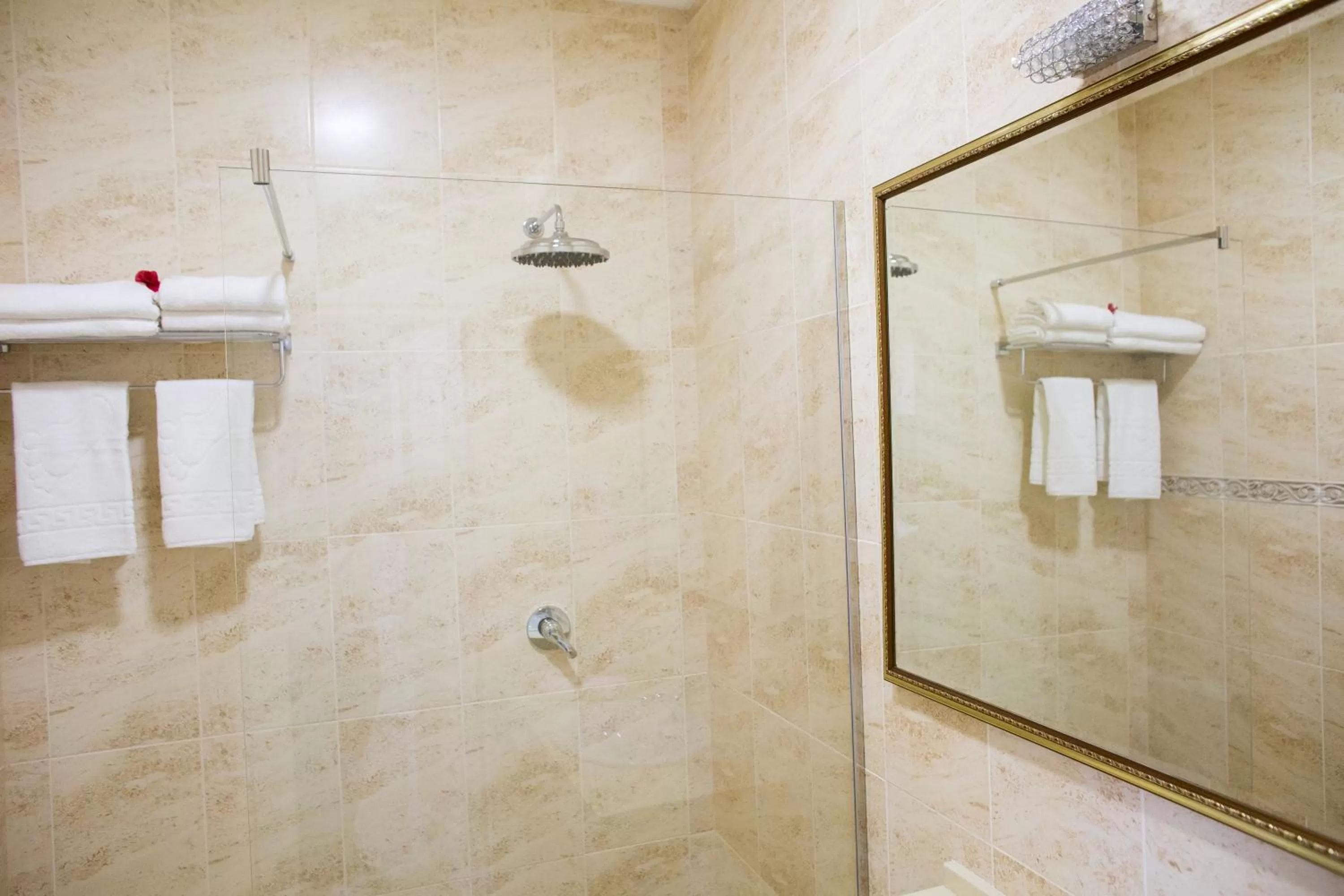 Decorative detail, Bathroom in Boutique Hotel Deluxe