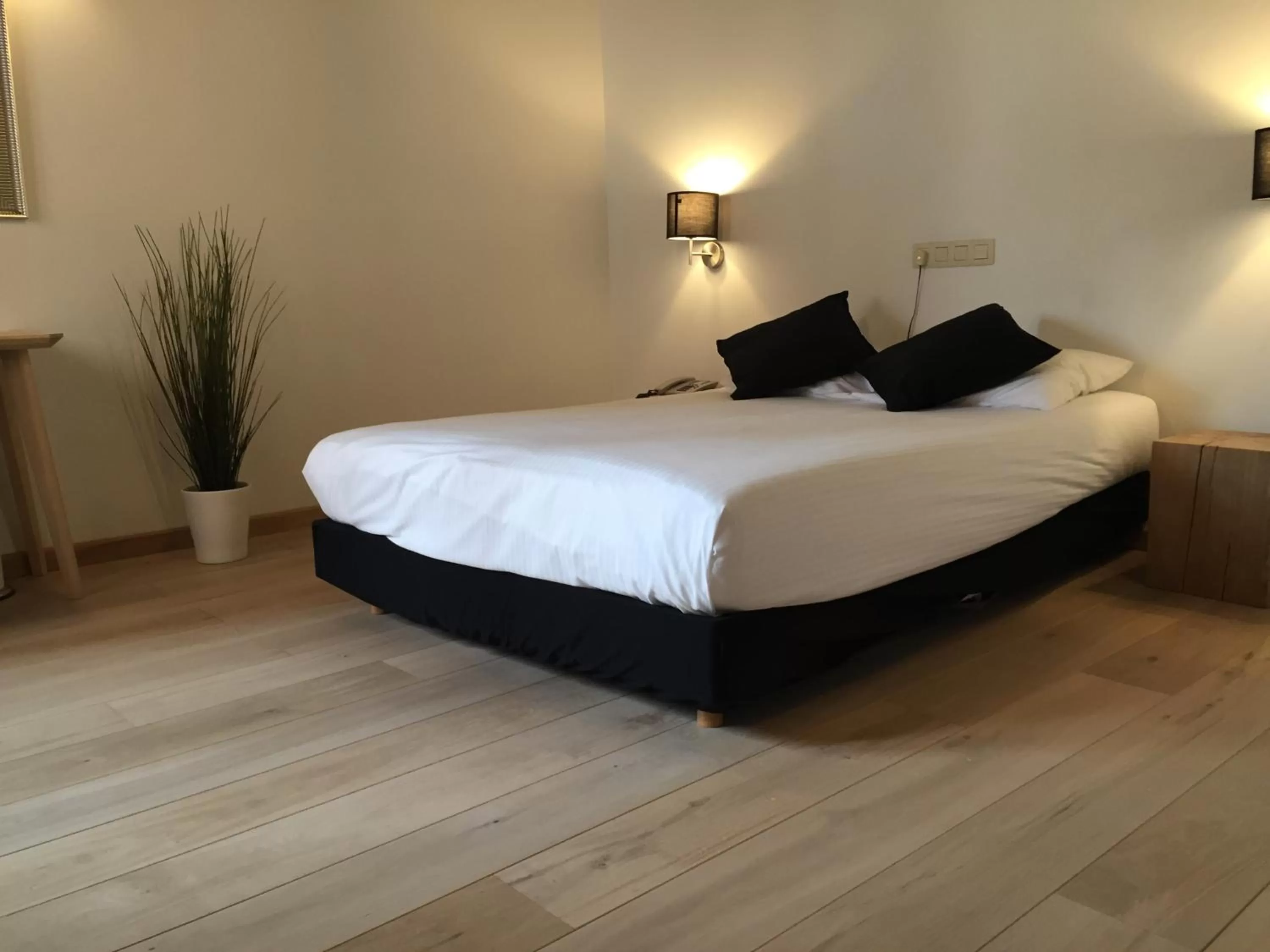 Photo of the whole room, Bed in Hotel Le Cygne d'Argent