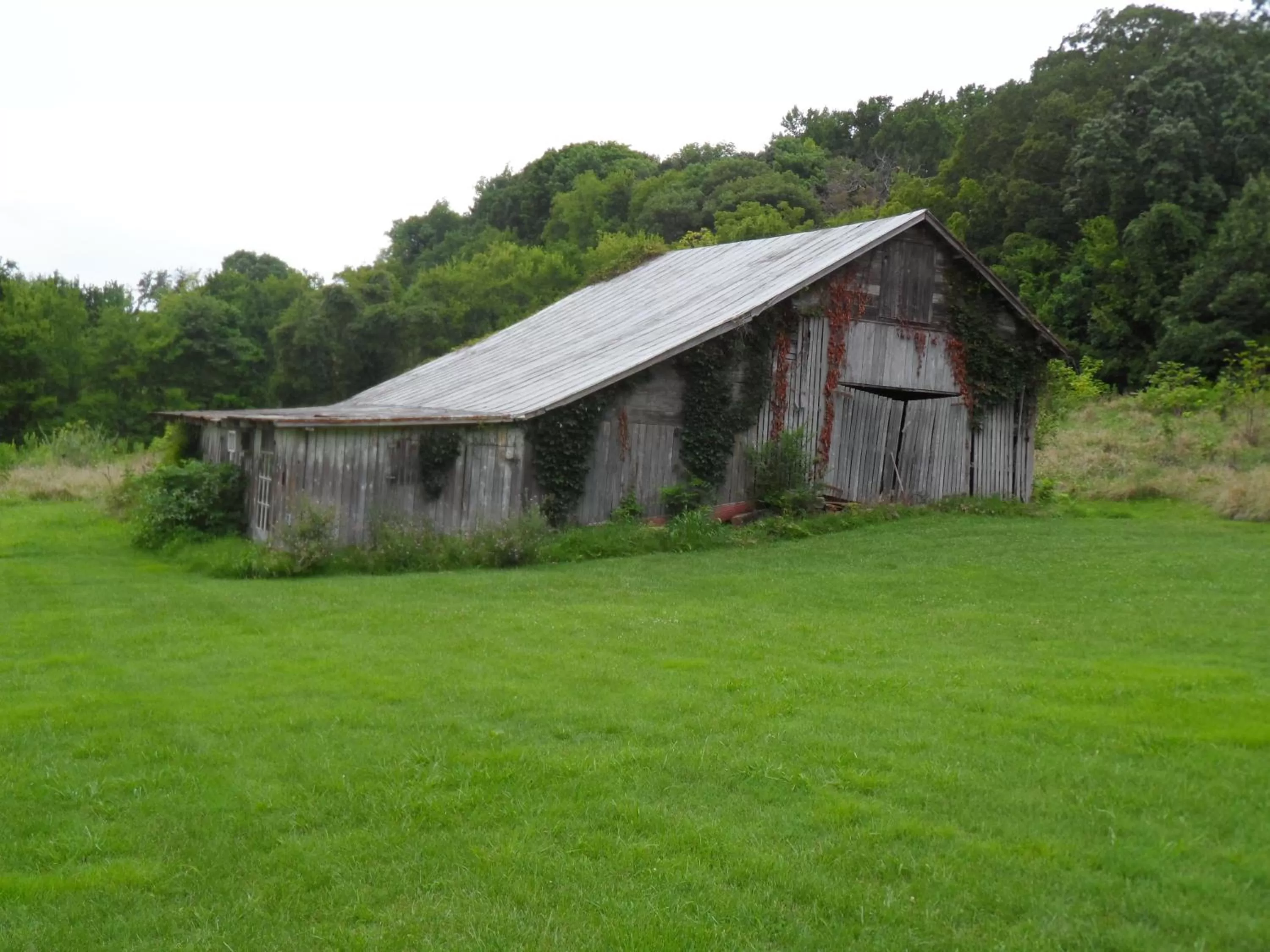 Property building in Mayhurst Estate