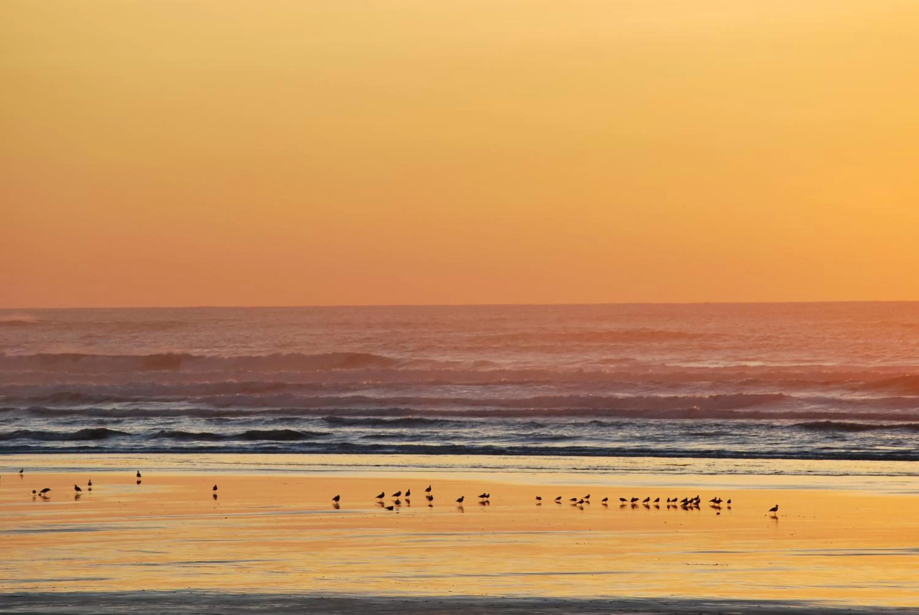 Area and facilities, Sunrise/Sunset in Inn at the Shore