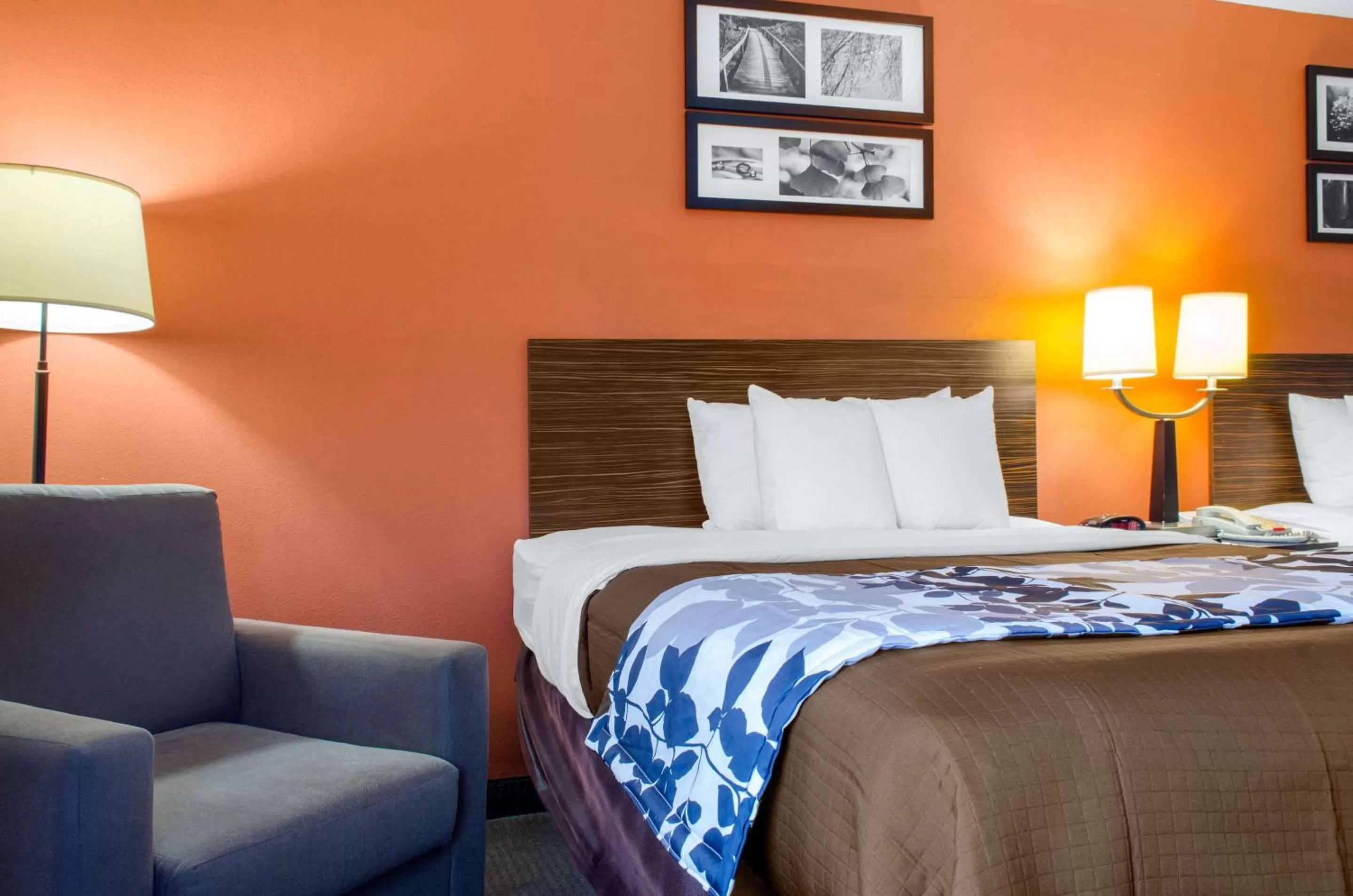 Photo of the whole room, Bed in Sleep Inn & Suites East Chase