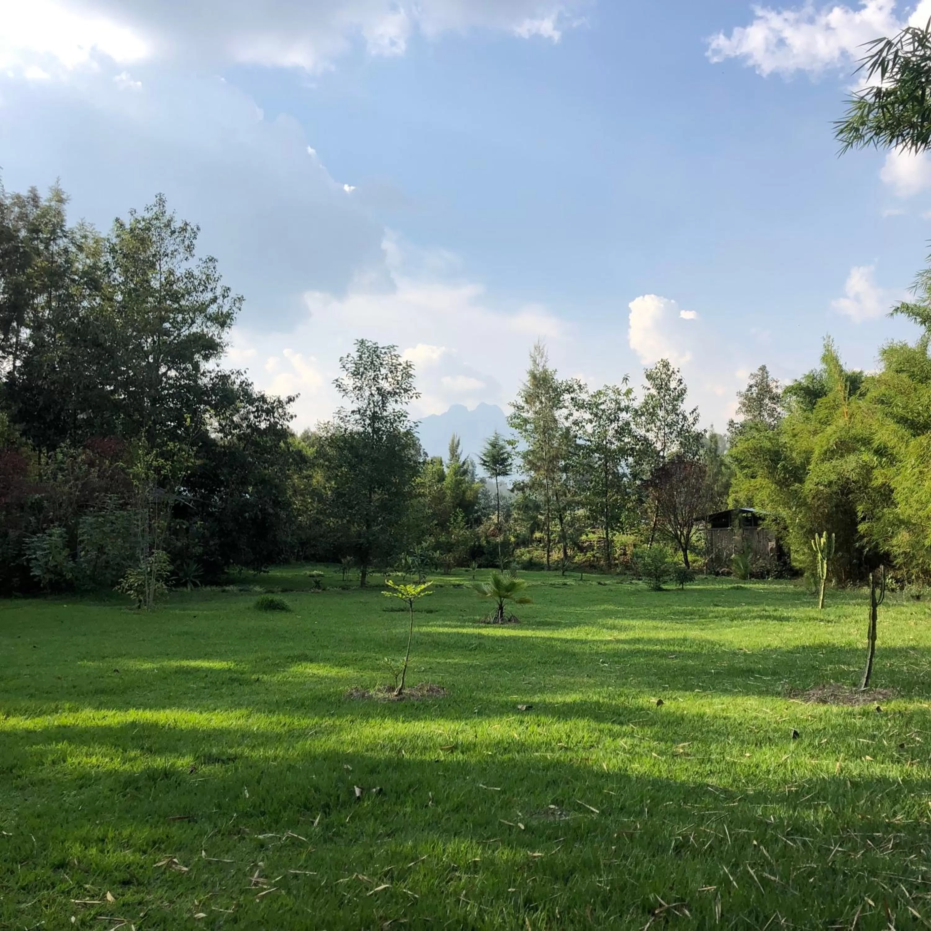 Garden in Fravan Eco Resort By Apogee