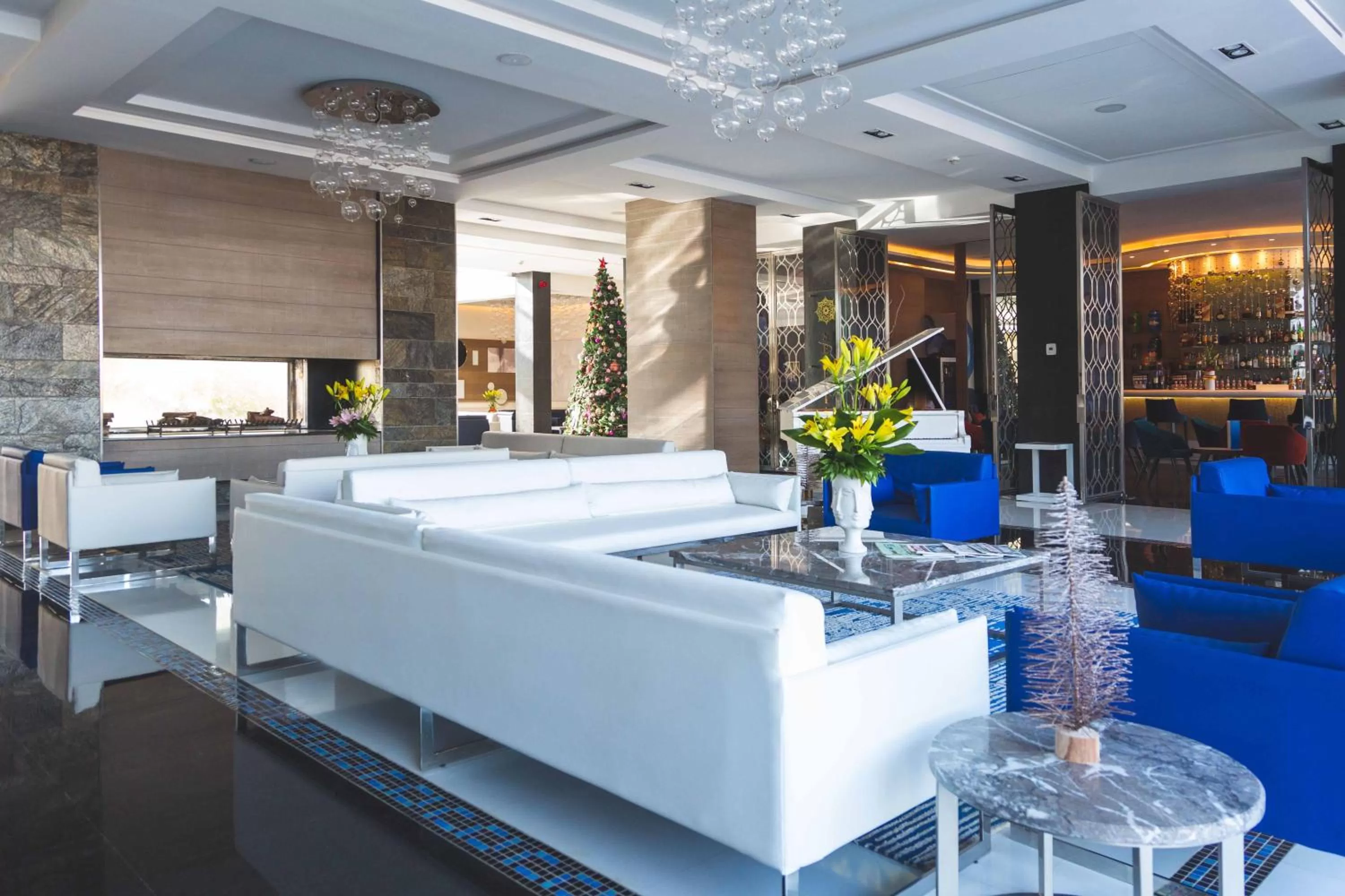 Lobby or reception in Vichy Célestins Spa Hôtel Casablanca