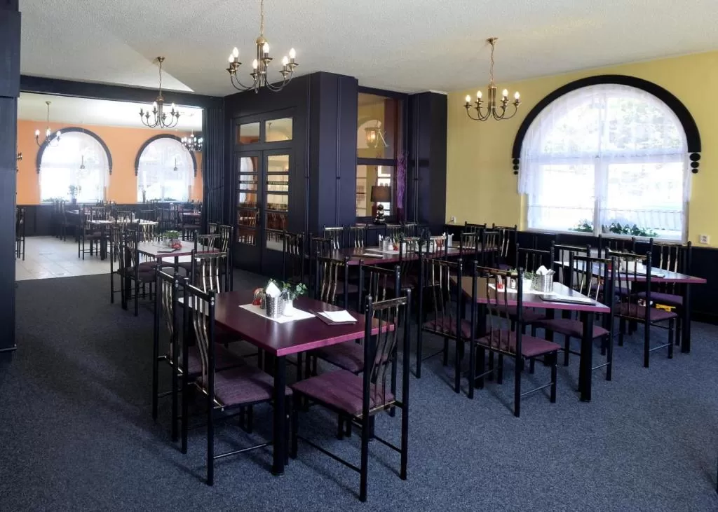 Restaurant/places to eat in Hotel U Jezírka