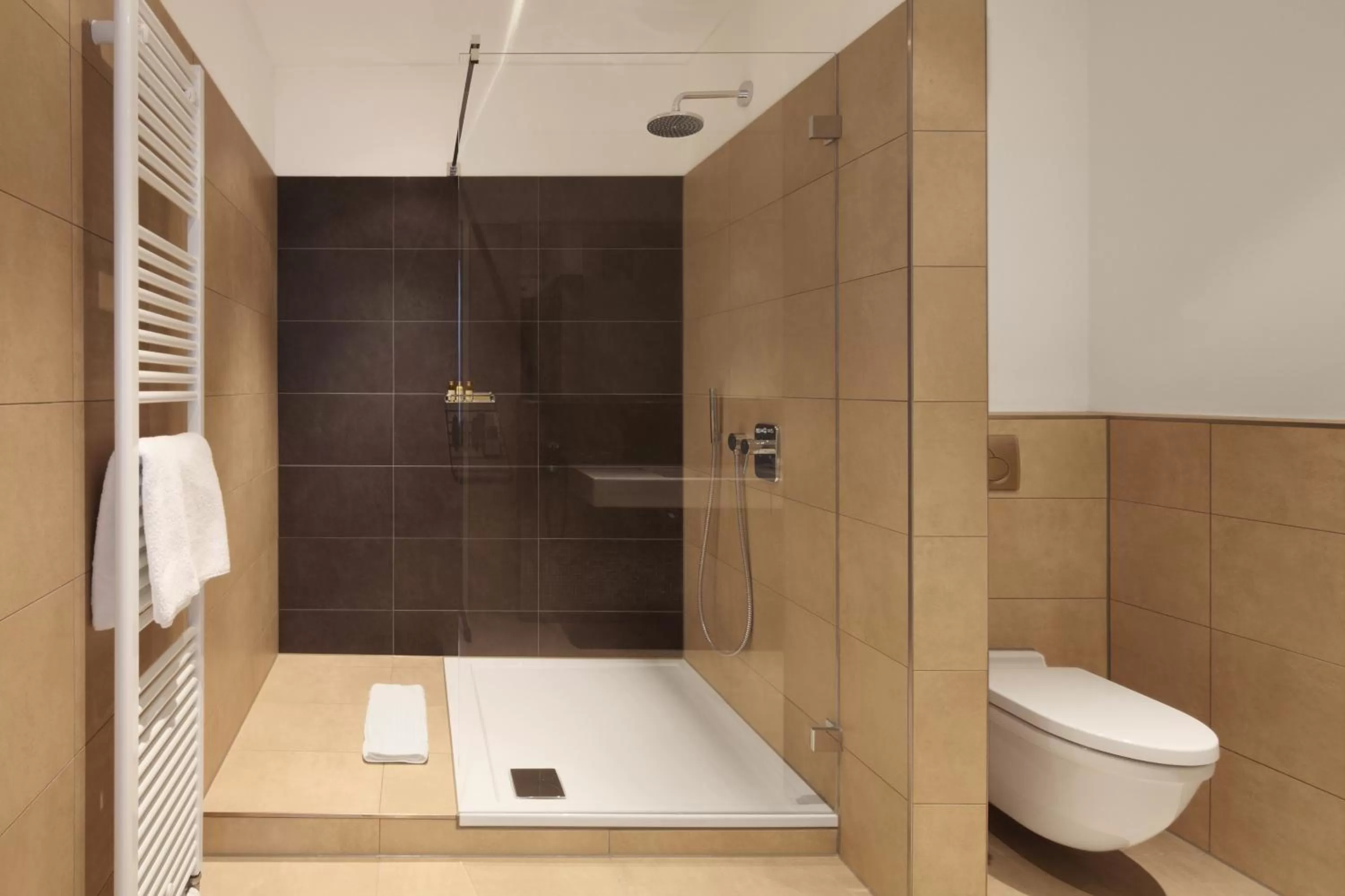 Shower in Hotel Otterbach