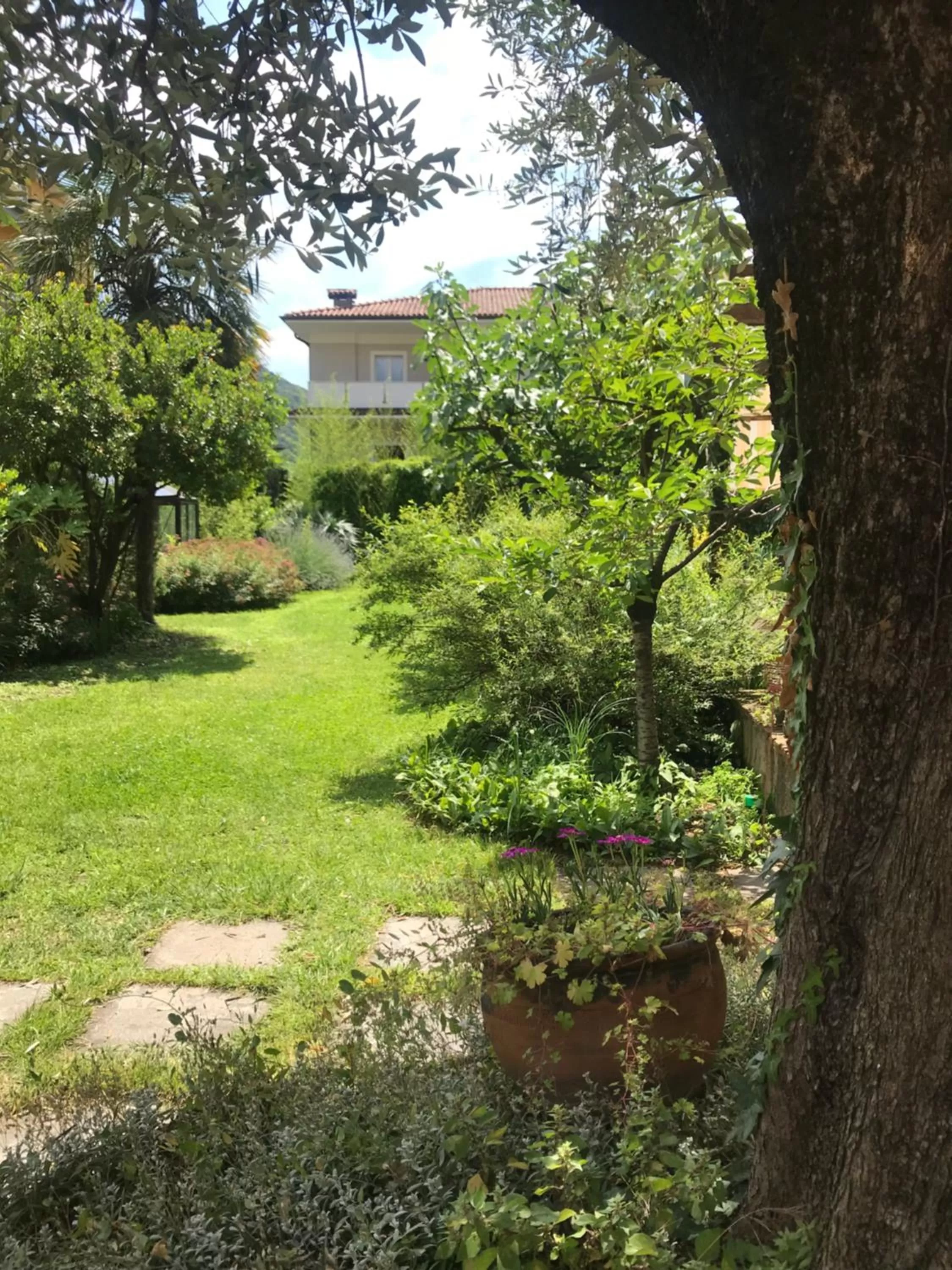 Garden in Il Giardino Segreto