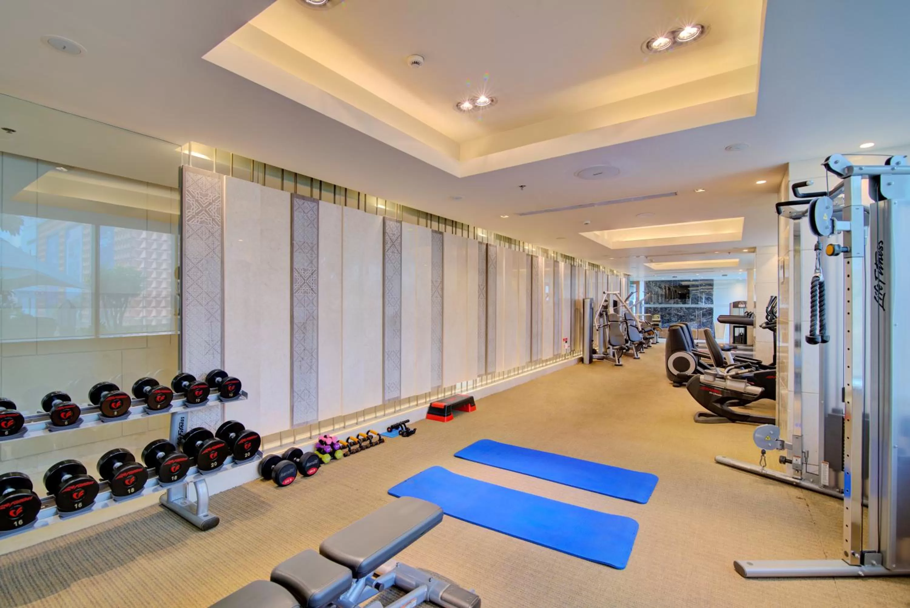 Fitness centre/facilities in Hyatt Ahmedabad