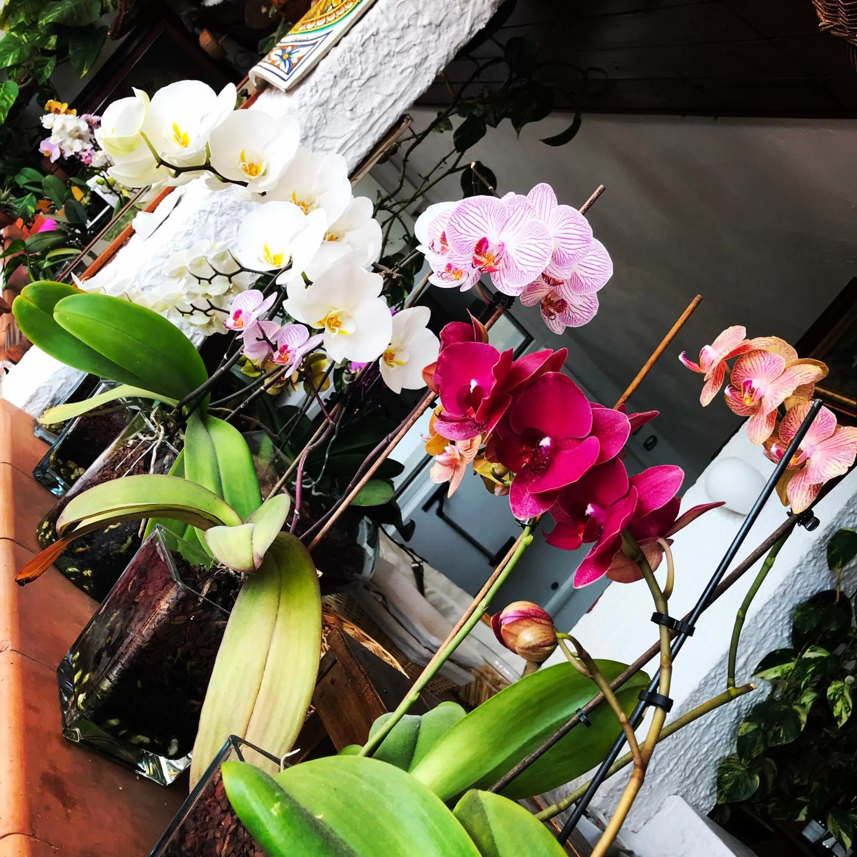 Decorative detail in Villa Greta Hotel Rooms & Suites