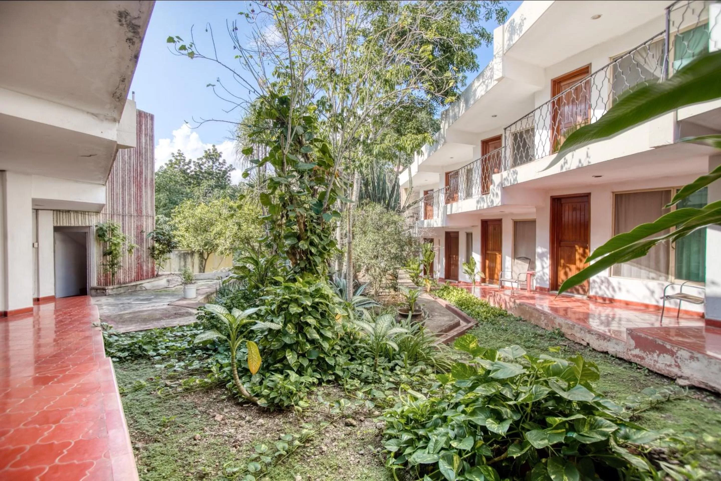 Other, Property Building in Hotel San Carlos